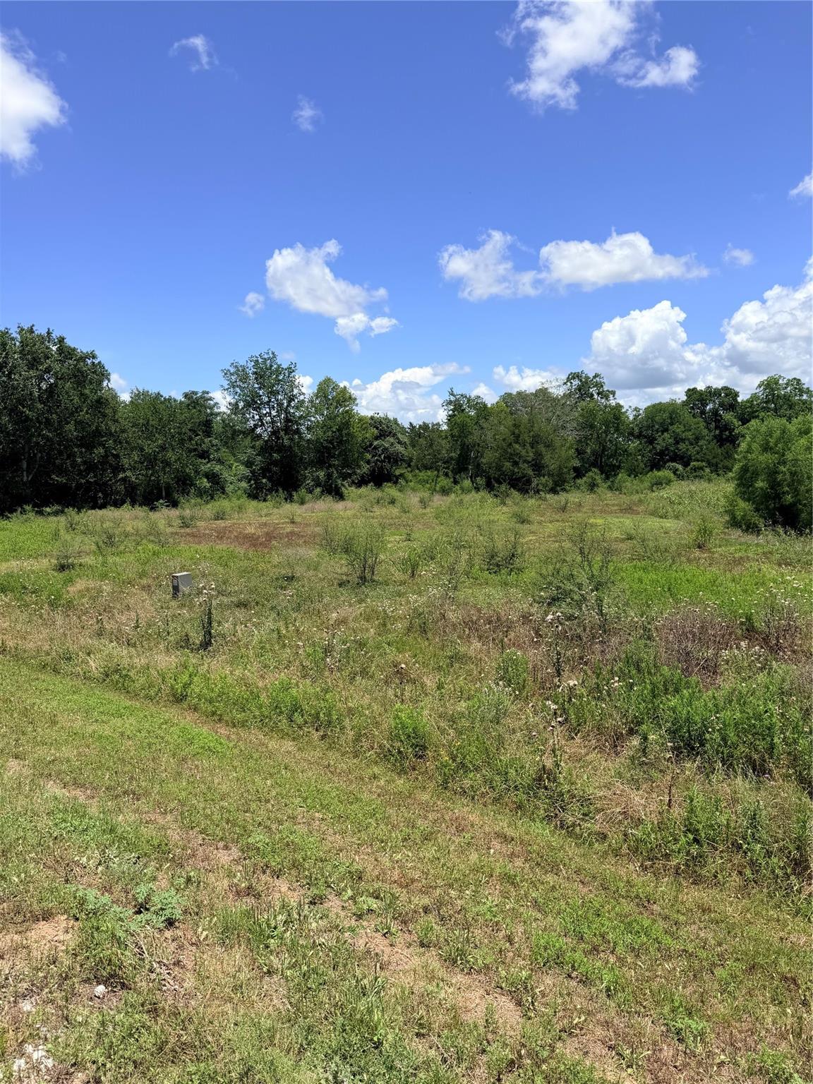 Lot 36 Winding Branch