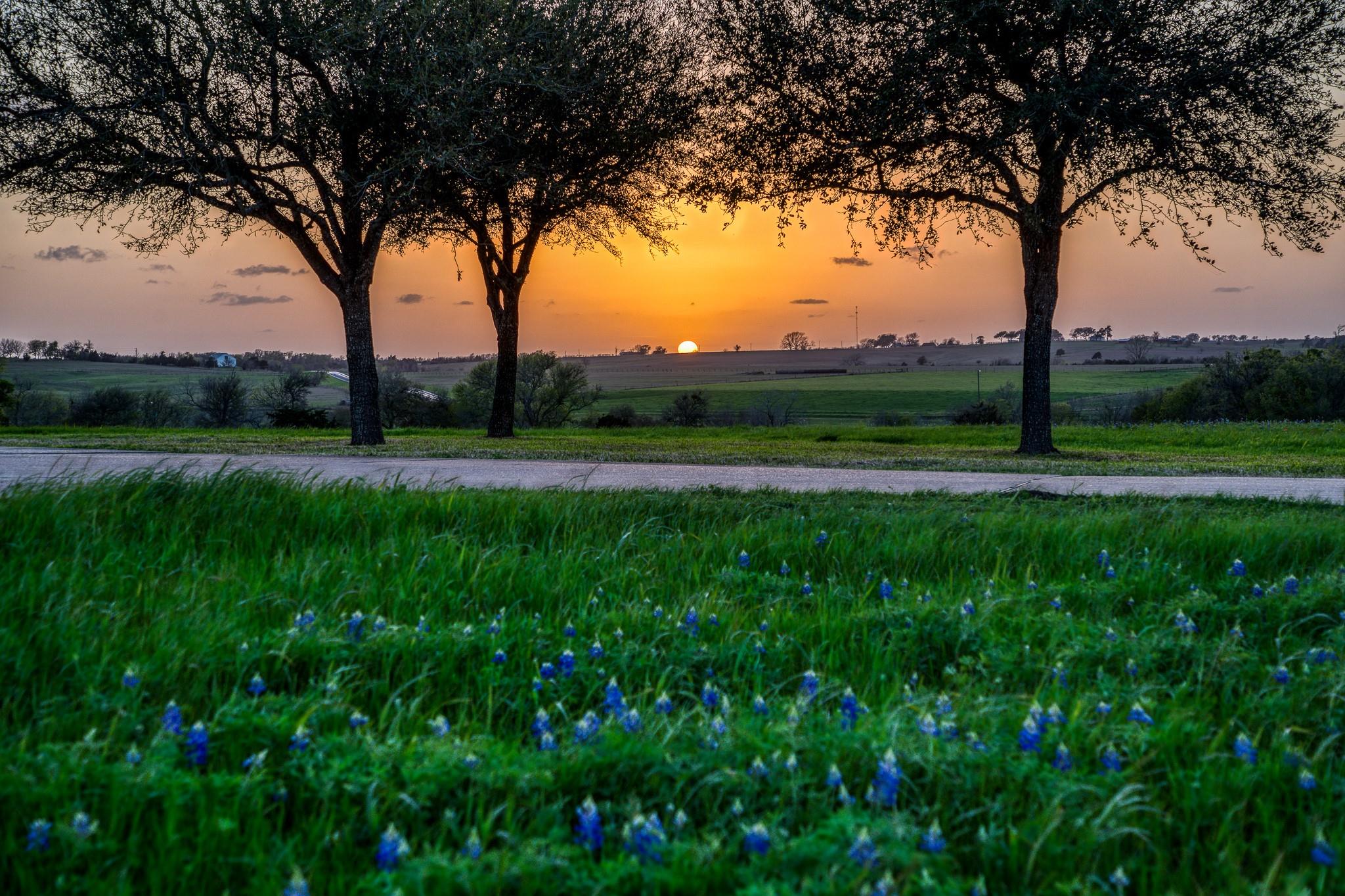 20383 State Highway 159 W