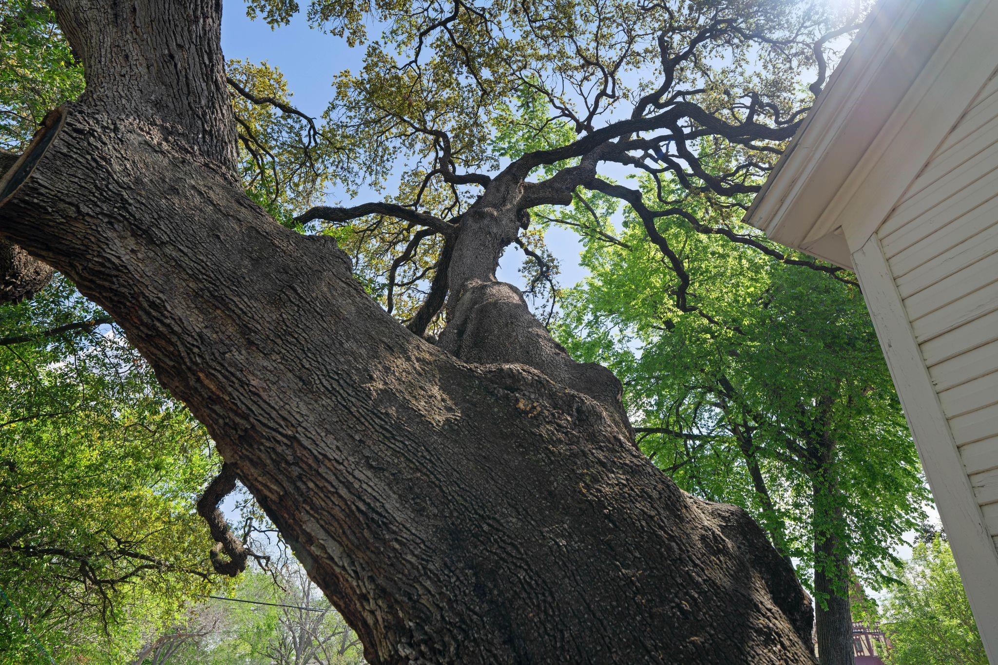 351 E Colorado Street