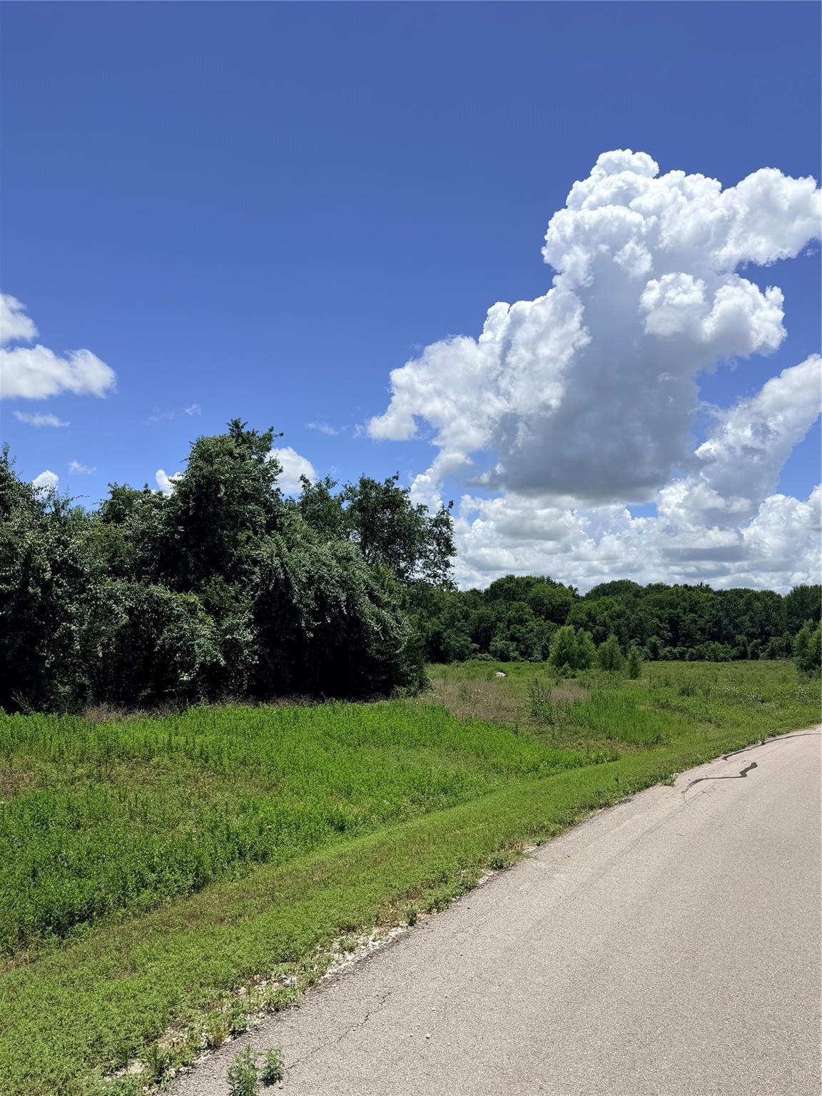 Lot 35 Winding Branch