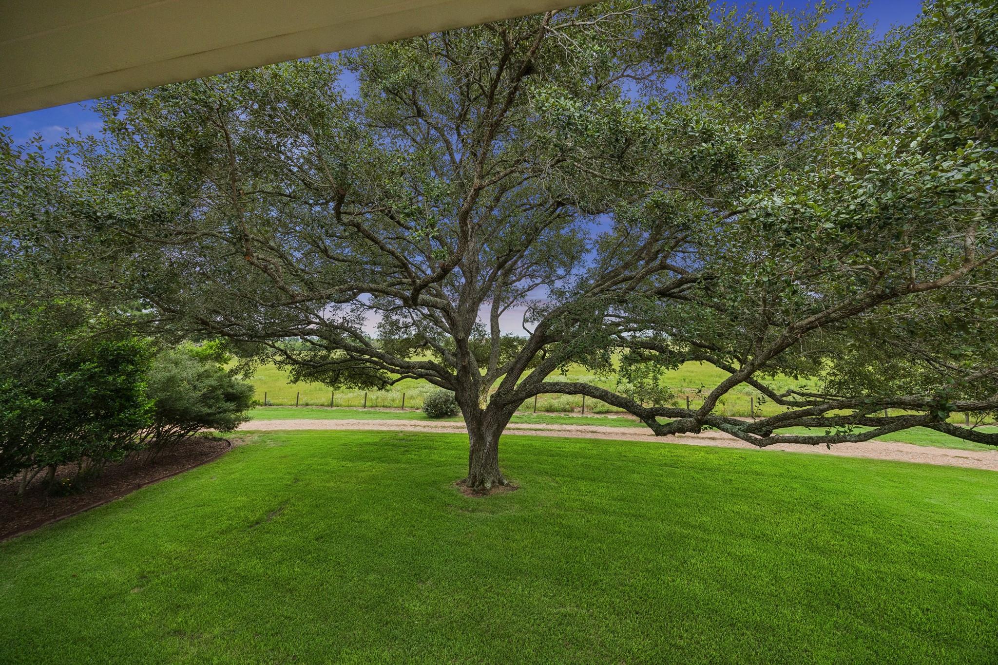 11182 Fm 1094 Road