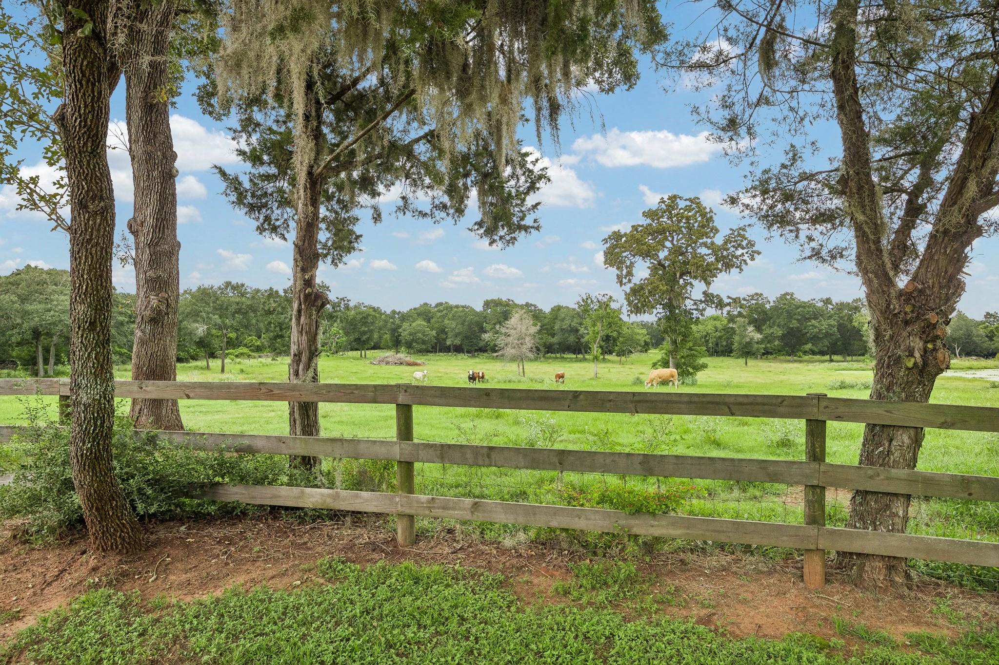 11182 Fm 1094 Road