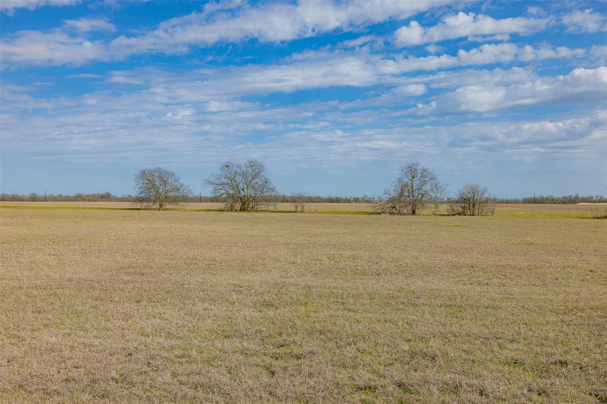 County Road 133 County Road CTR