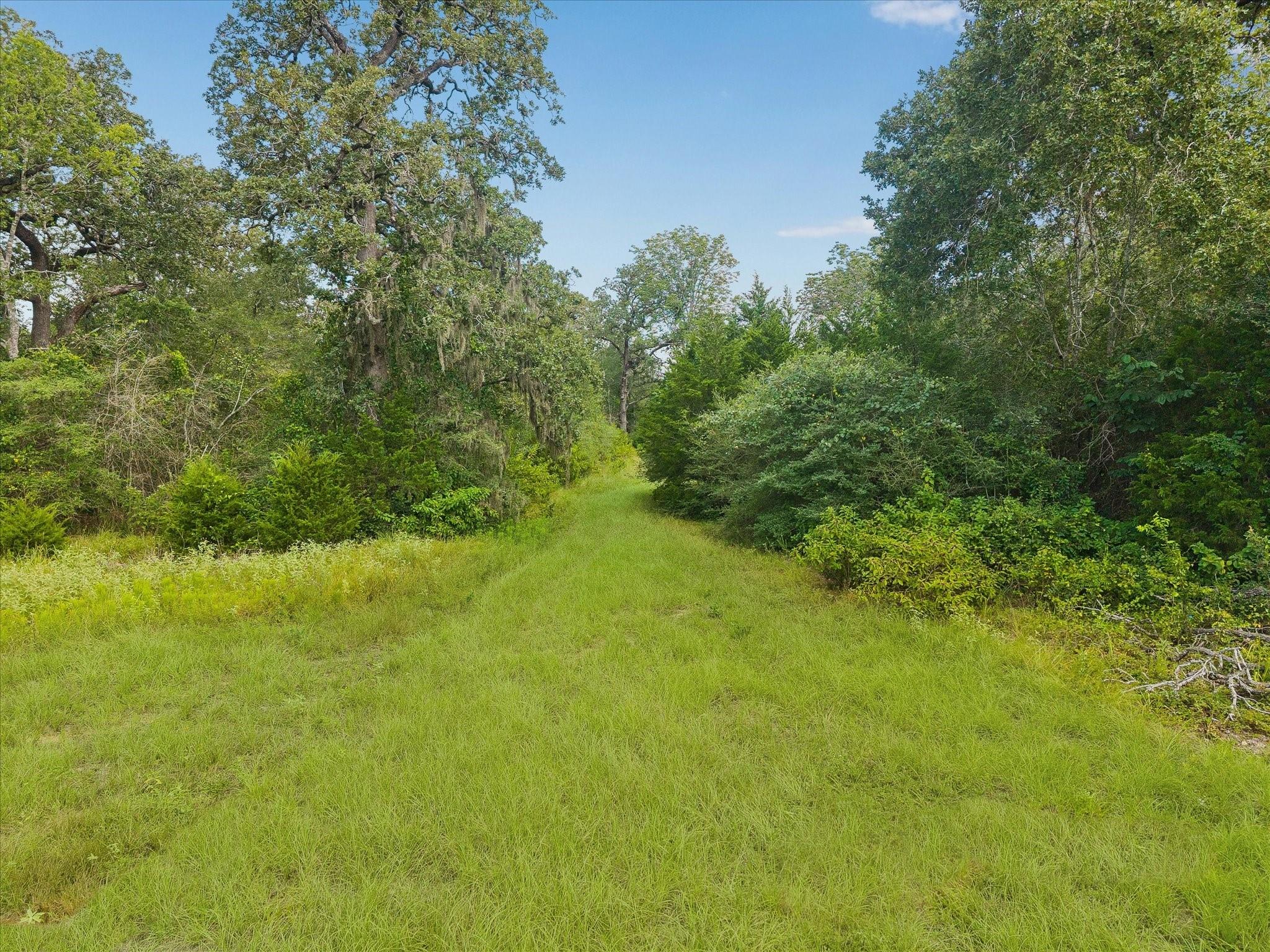 0001 Highway 159 West W