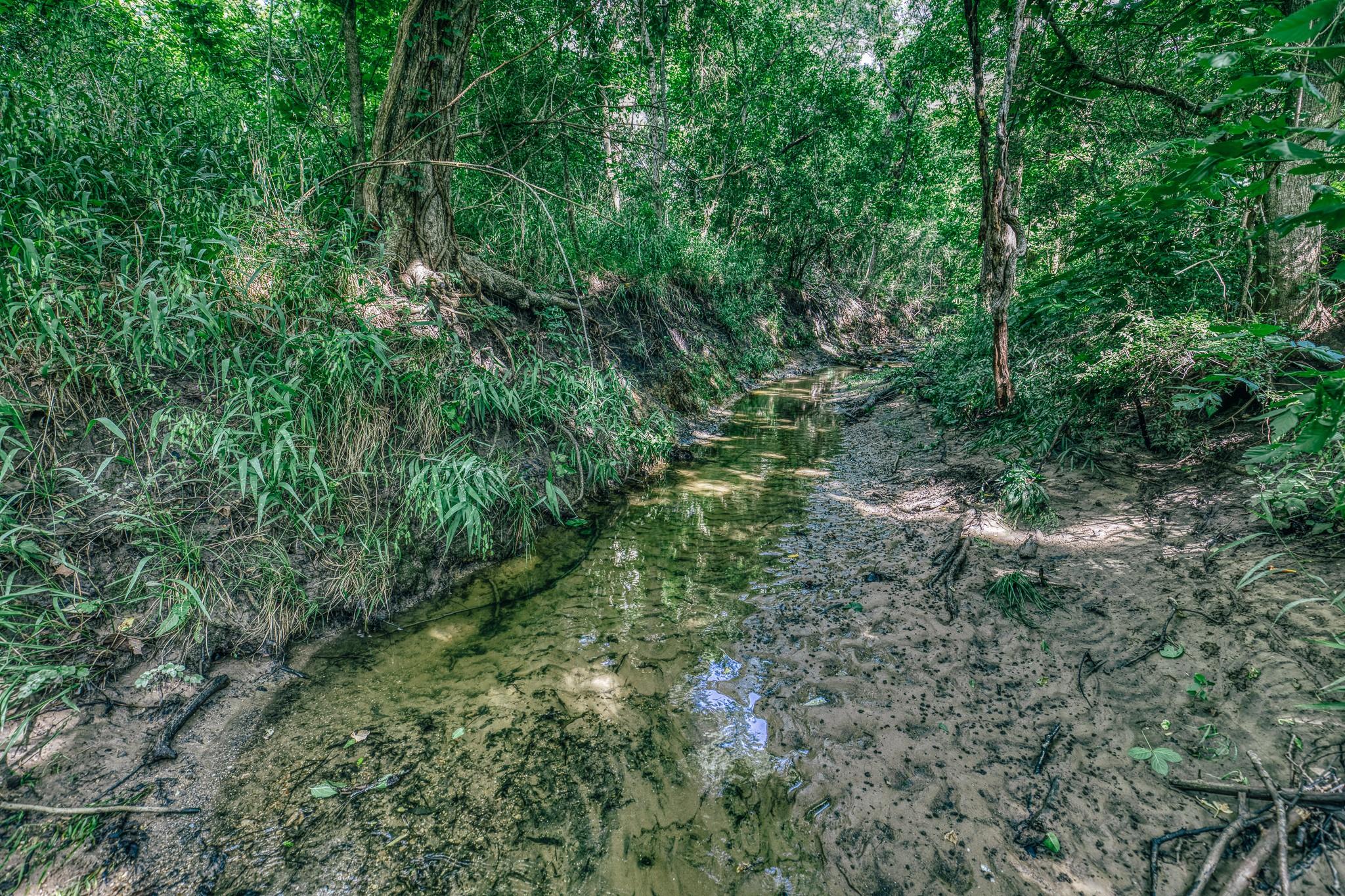2734 Blue Hole Road