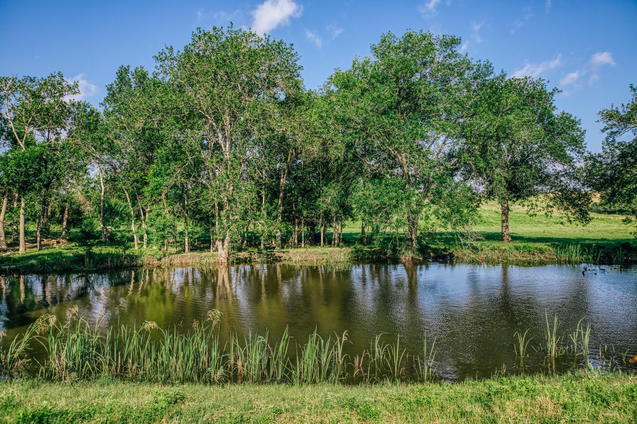 2734 Blue Hole Road