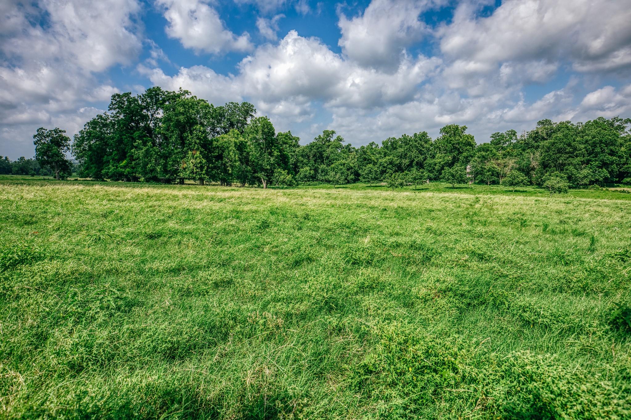 2734 Blue Hole Road