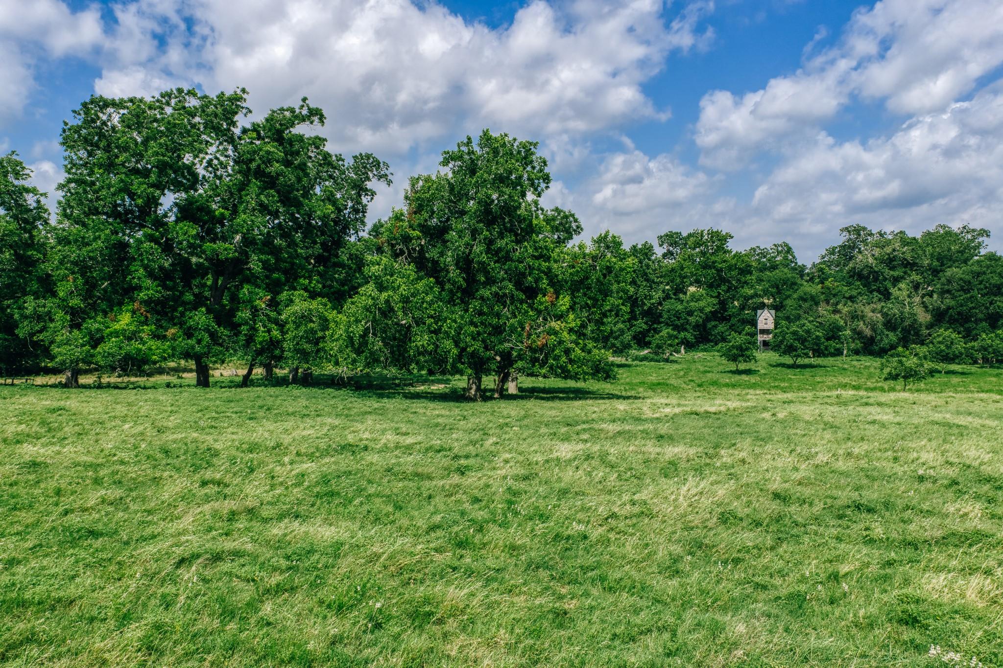 2734 Blue Hole Road