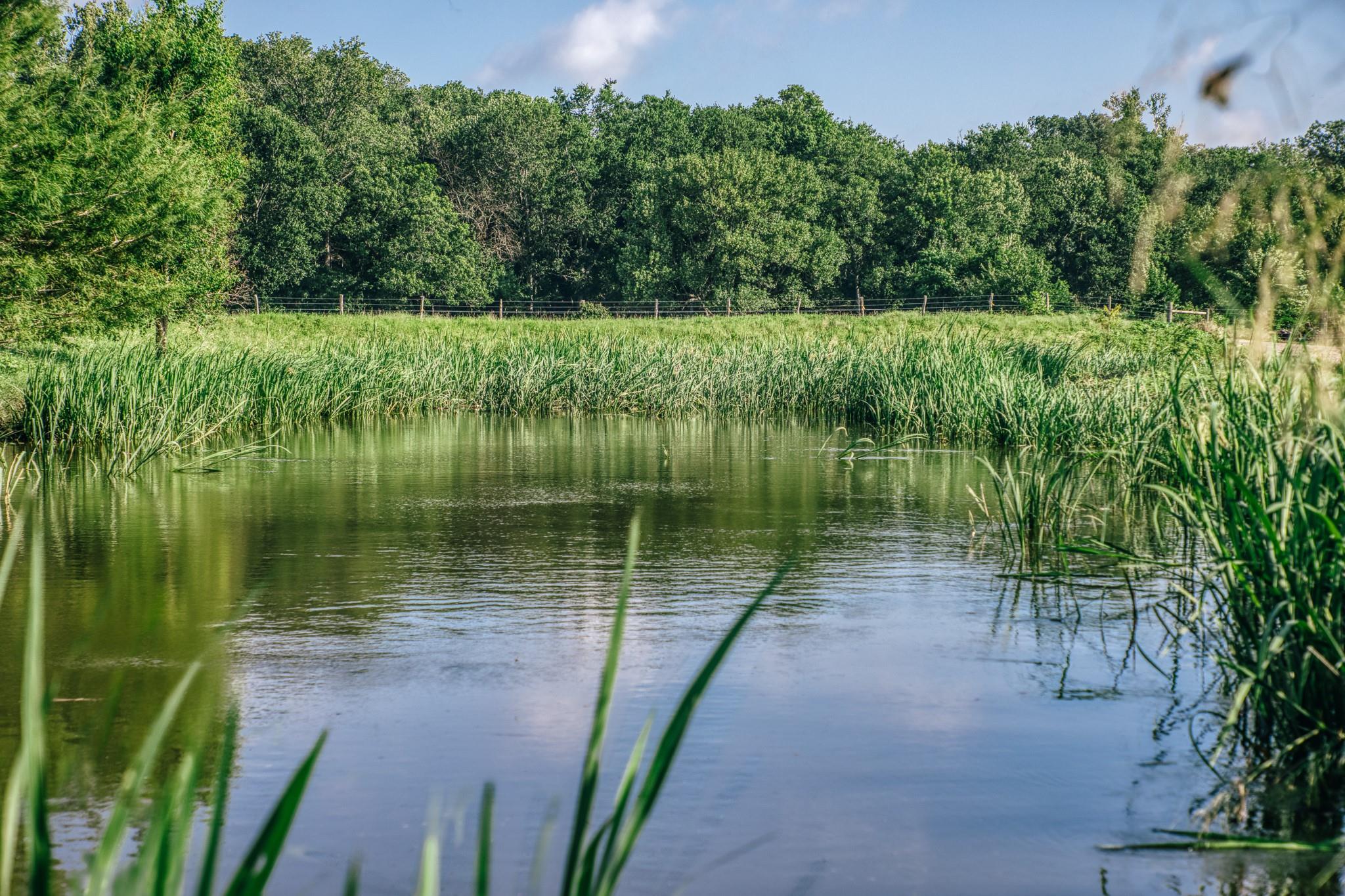 2734 Blue Hole Road