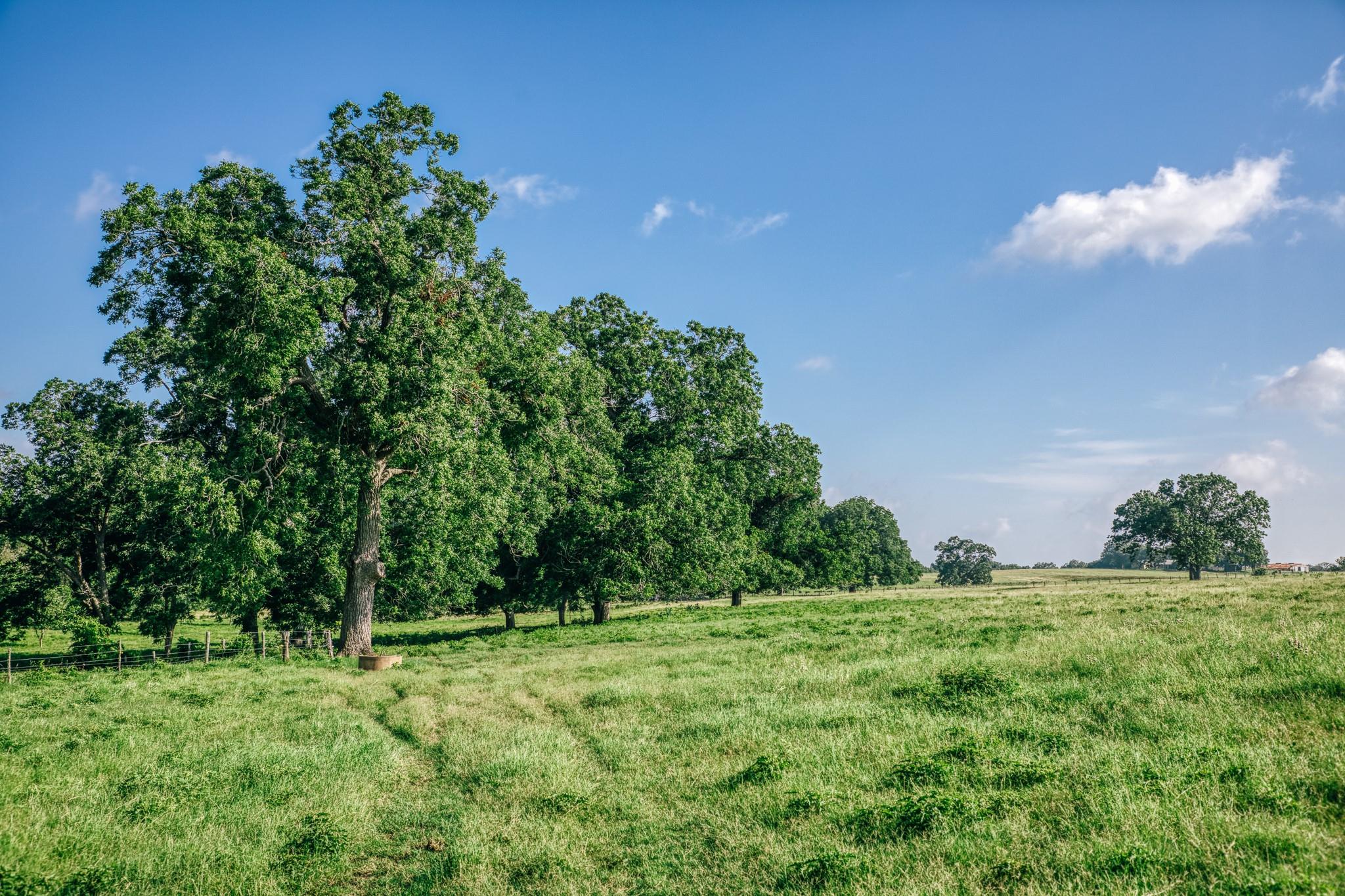 2734 Blue Hole Road