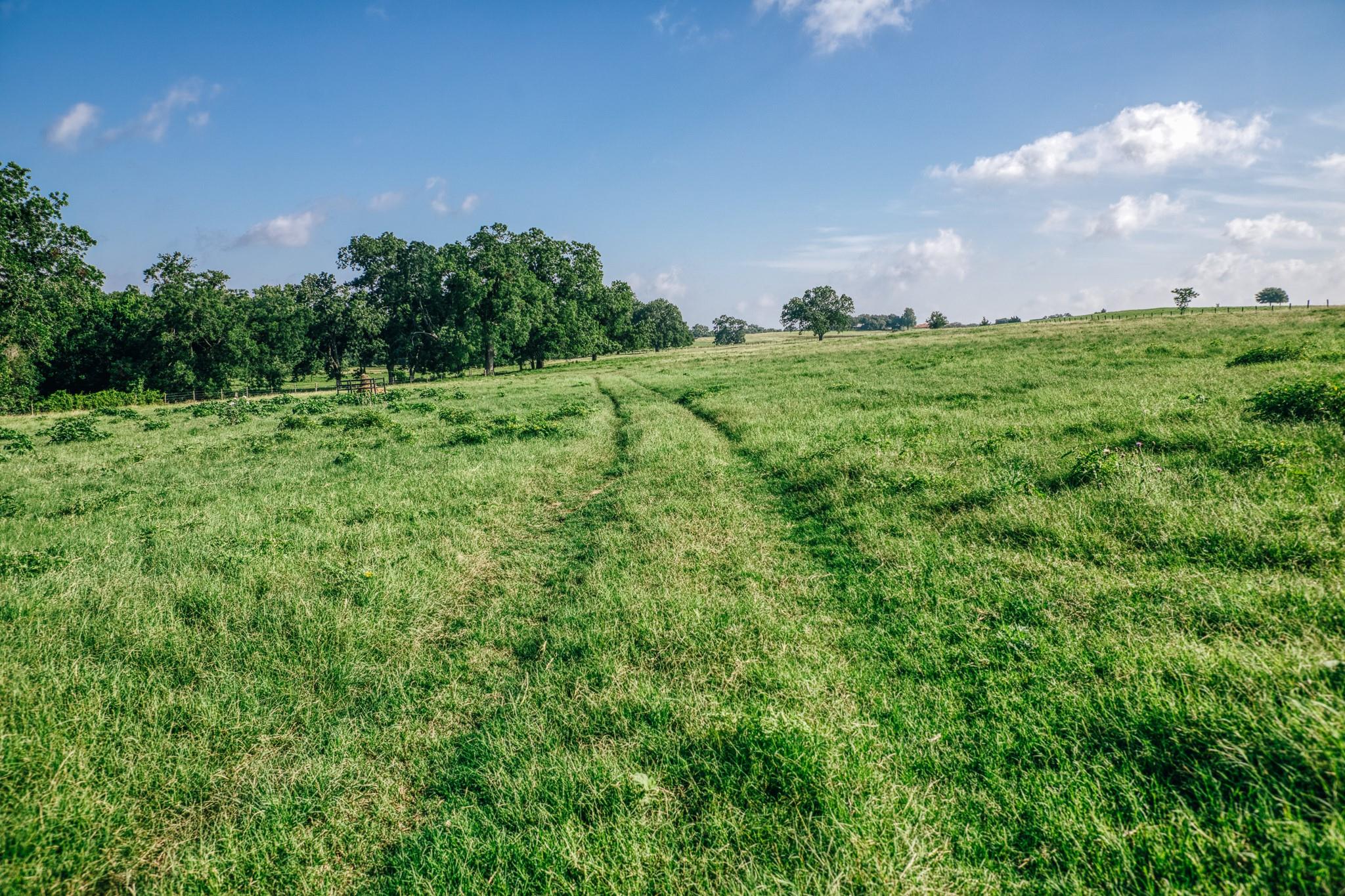 2734 Blue Hole Road