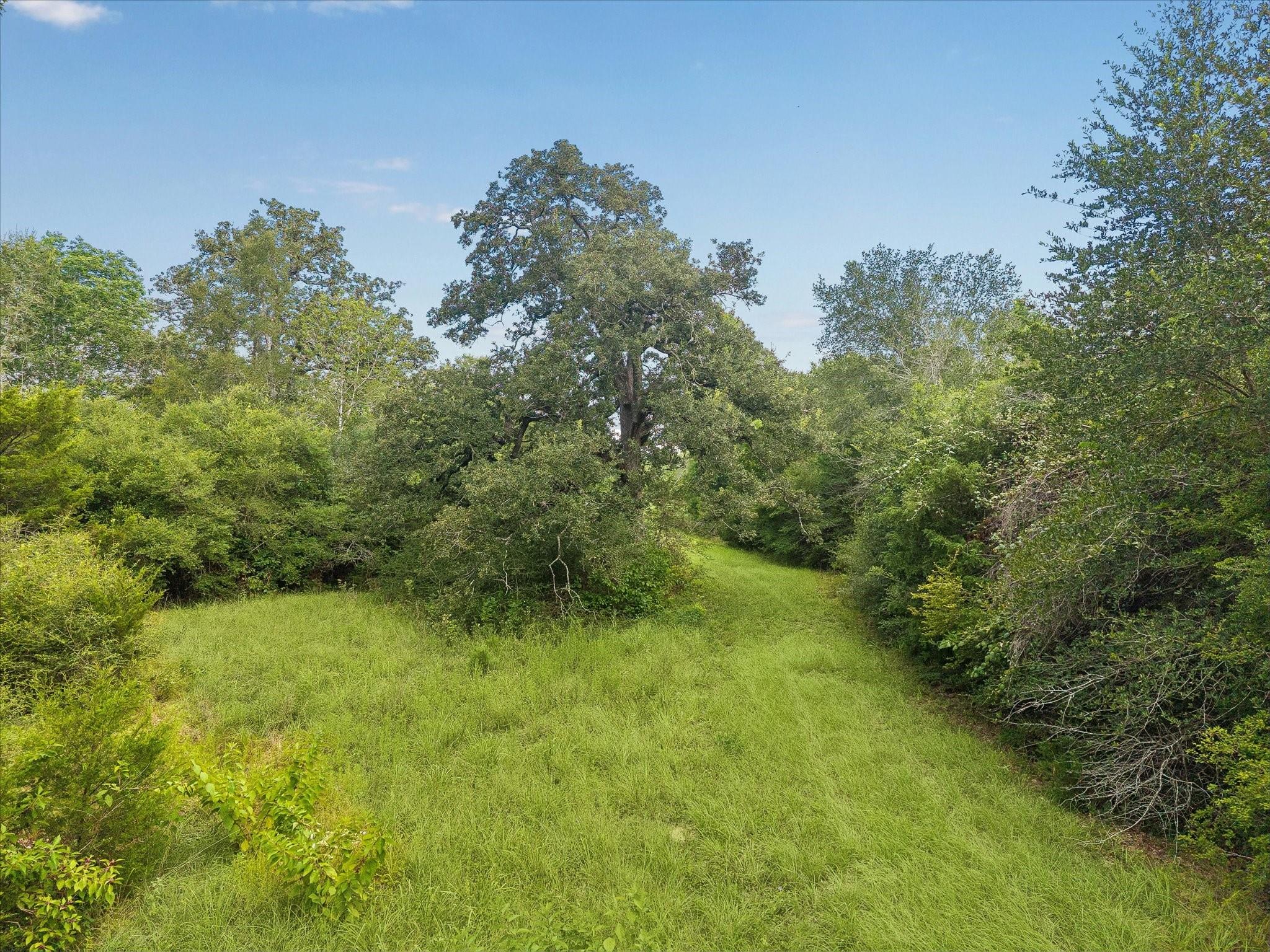 0002 Highway 159 W