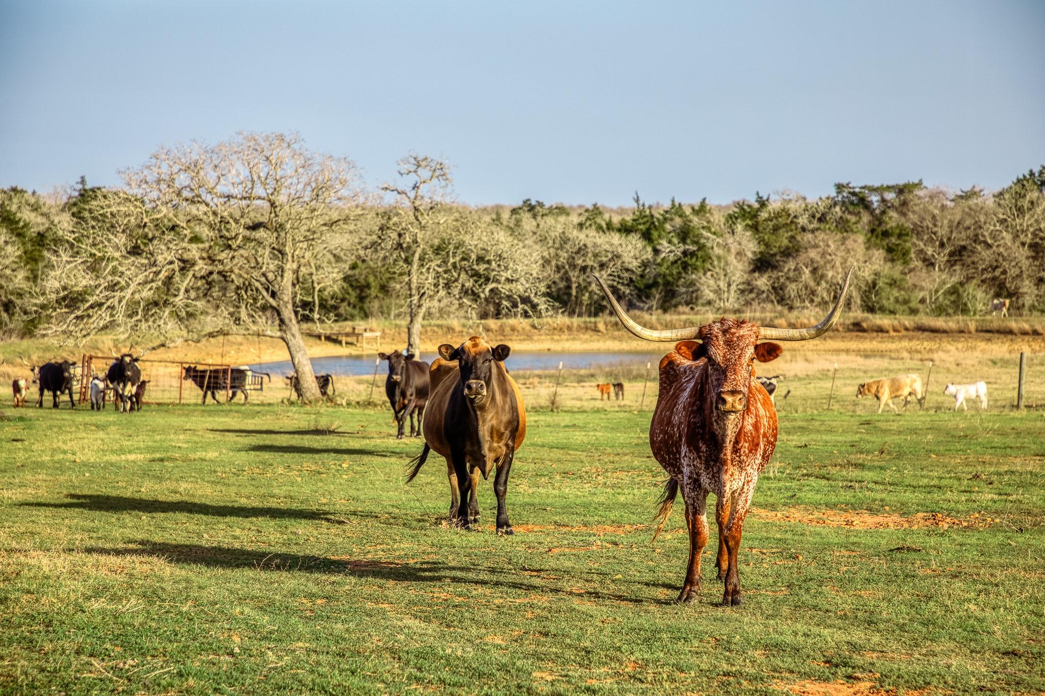 12893 E State Highway 97