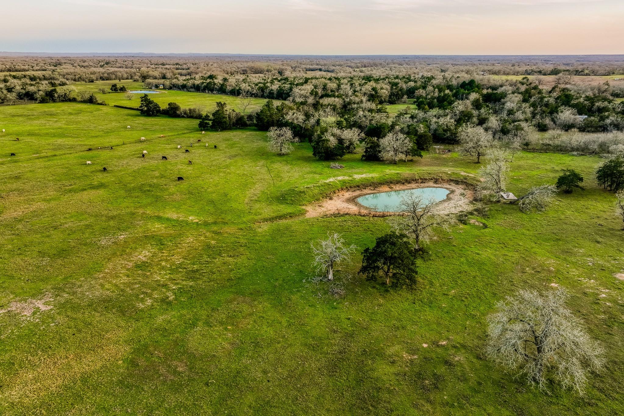 12893 E State Highway 97