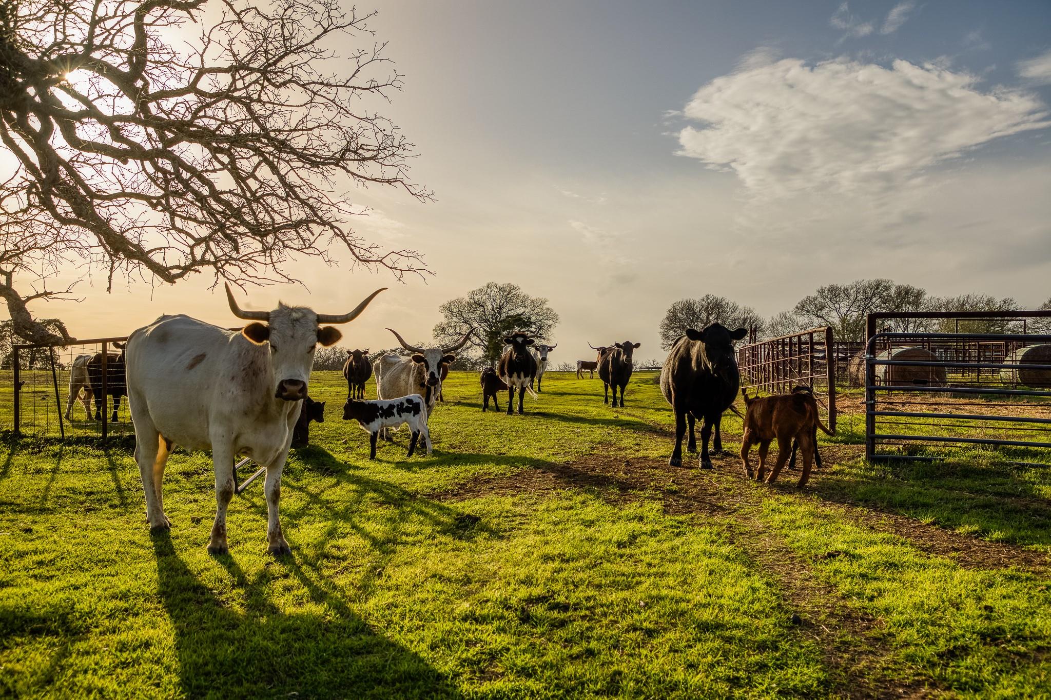 12893 E State Highway 97