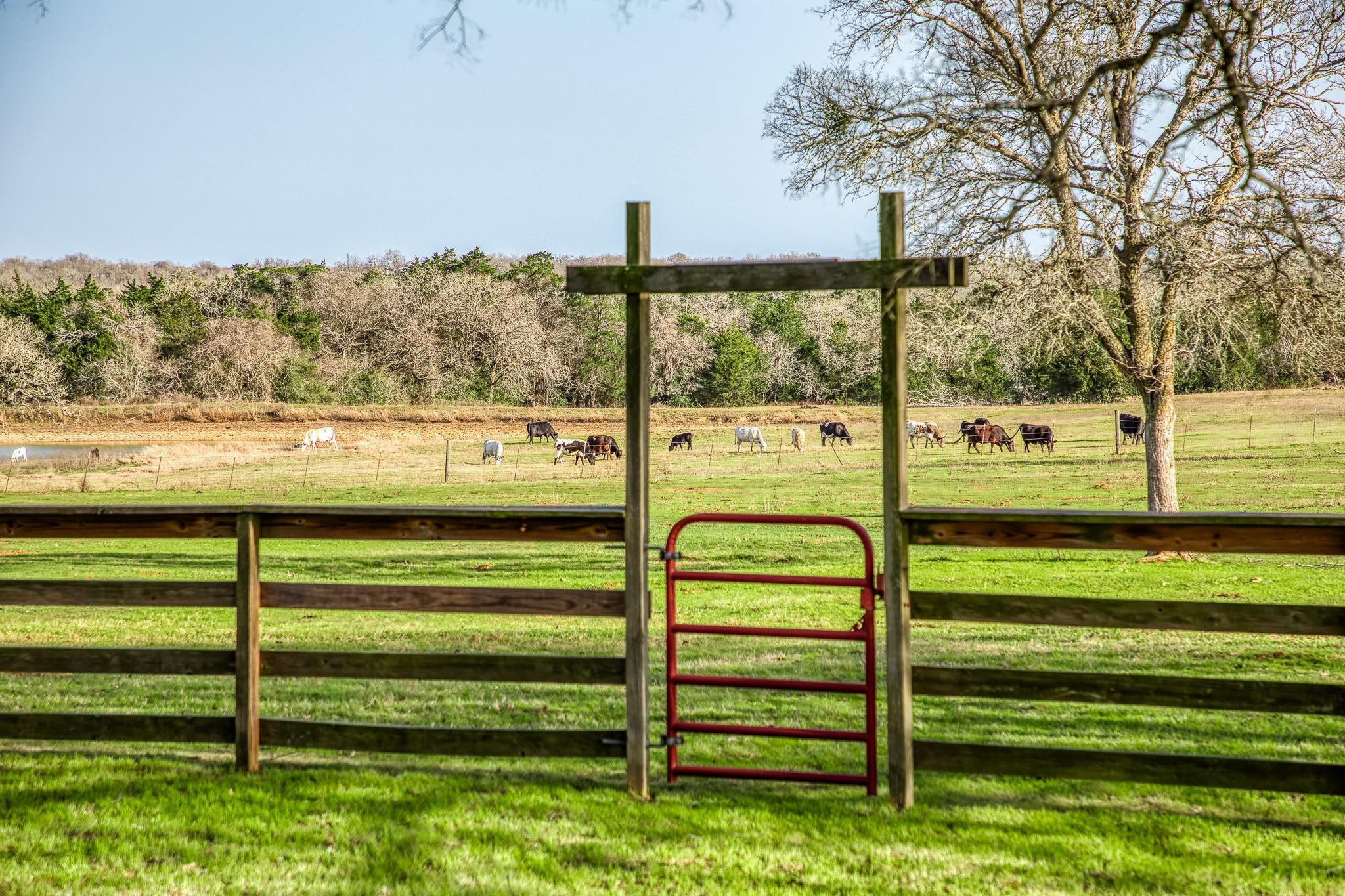 12893 E State Highway 97