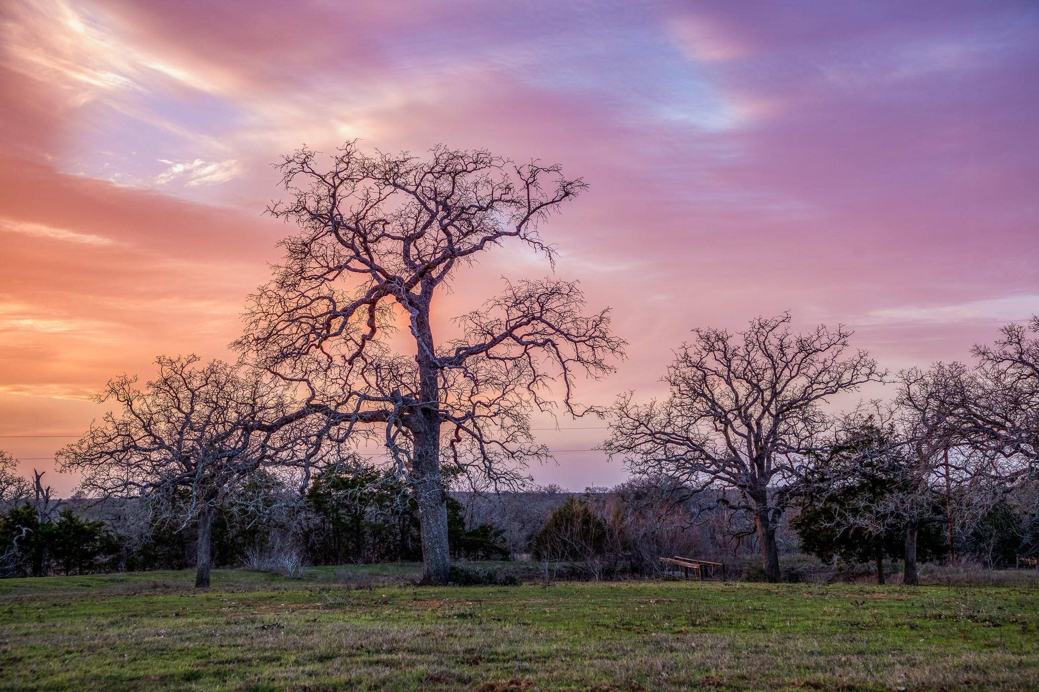 12893 E State Highway 97