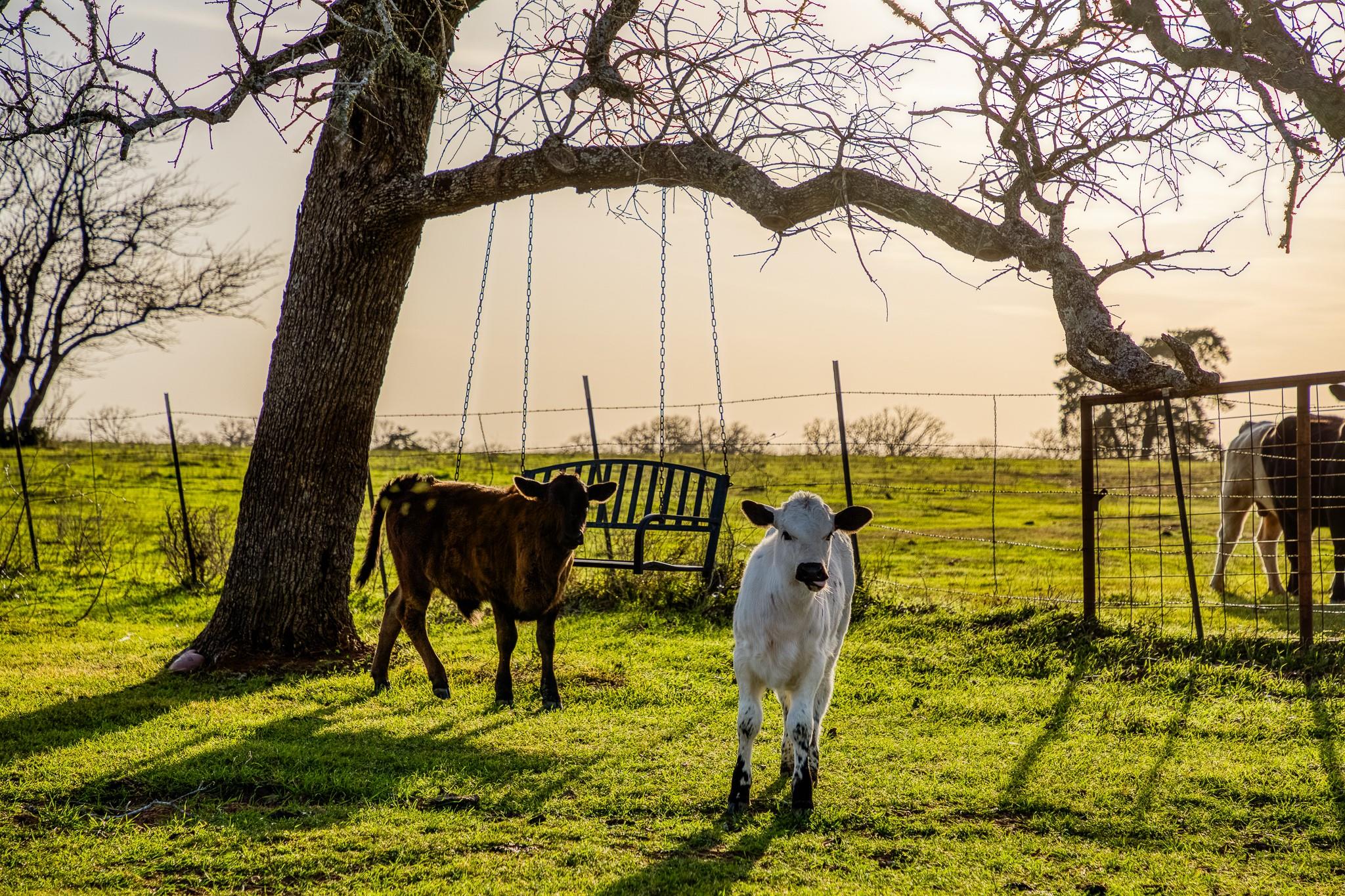 12893 E State Highway 97