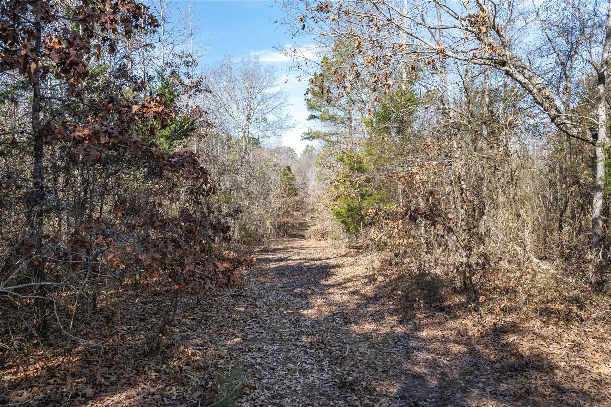 tbd County Road 4812