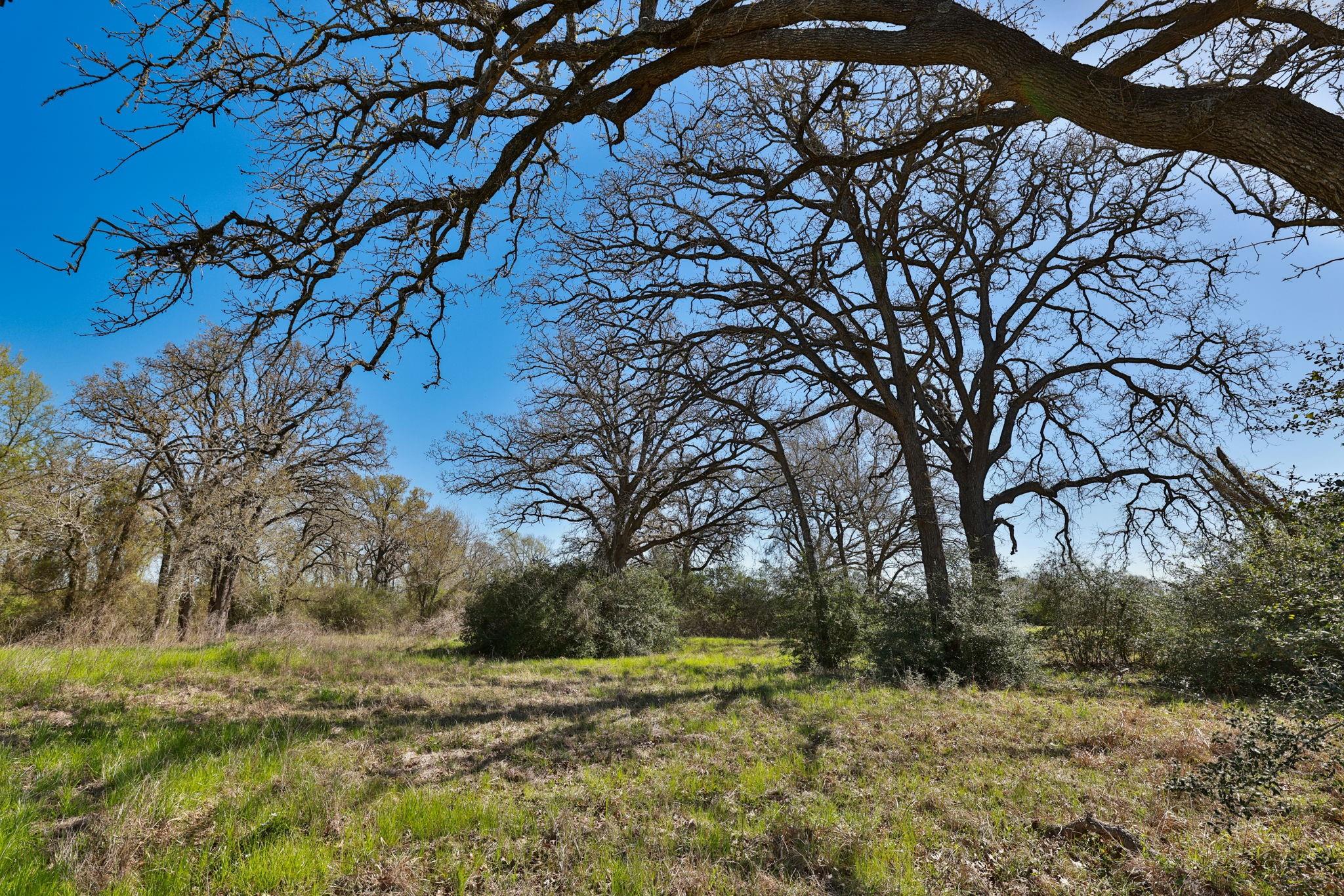 21100 Telephone Road