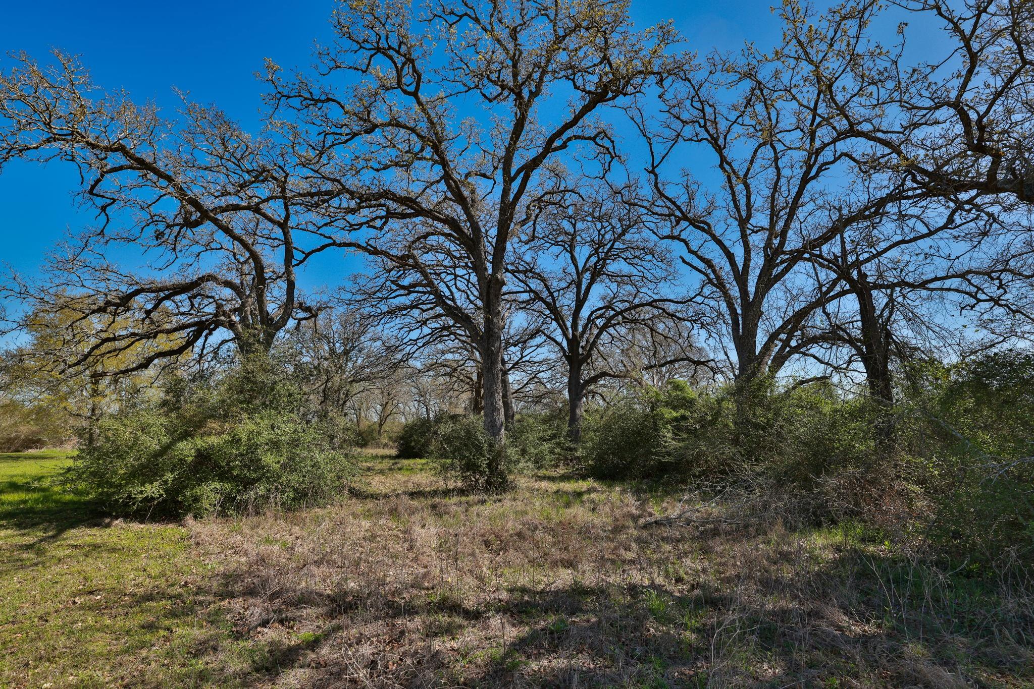 21100 Telephone Road