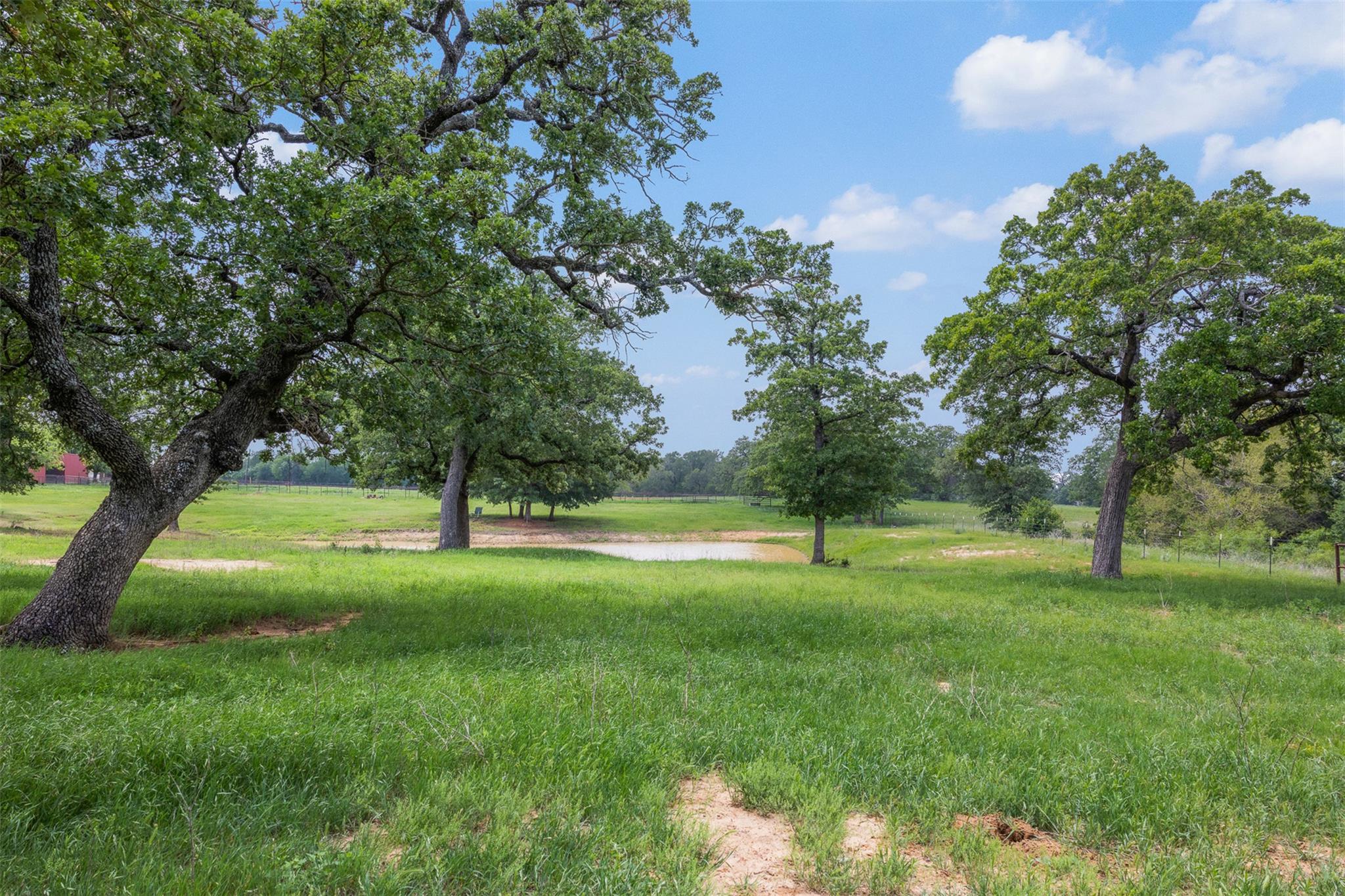 1016 County Road 306