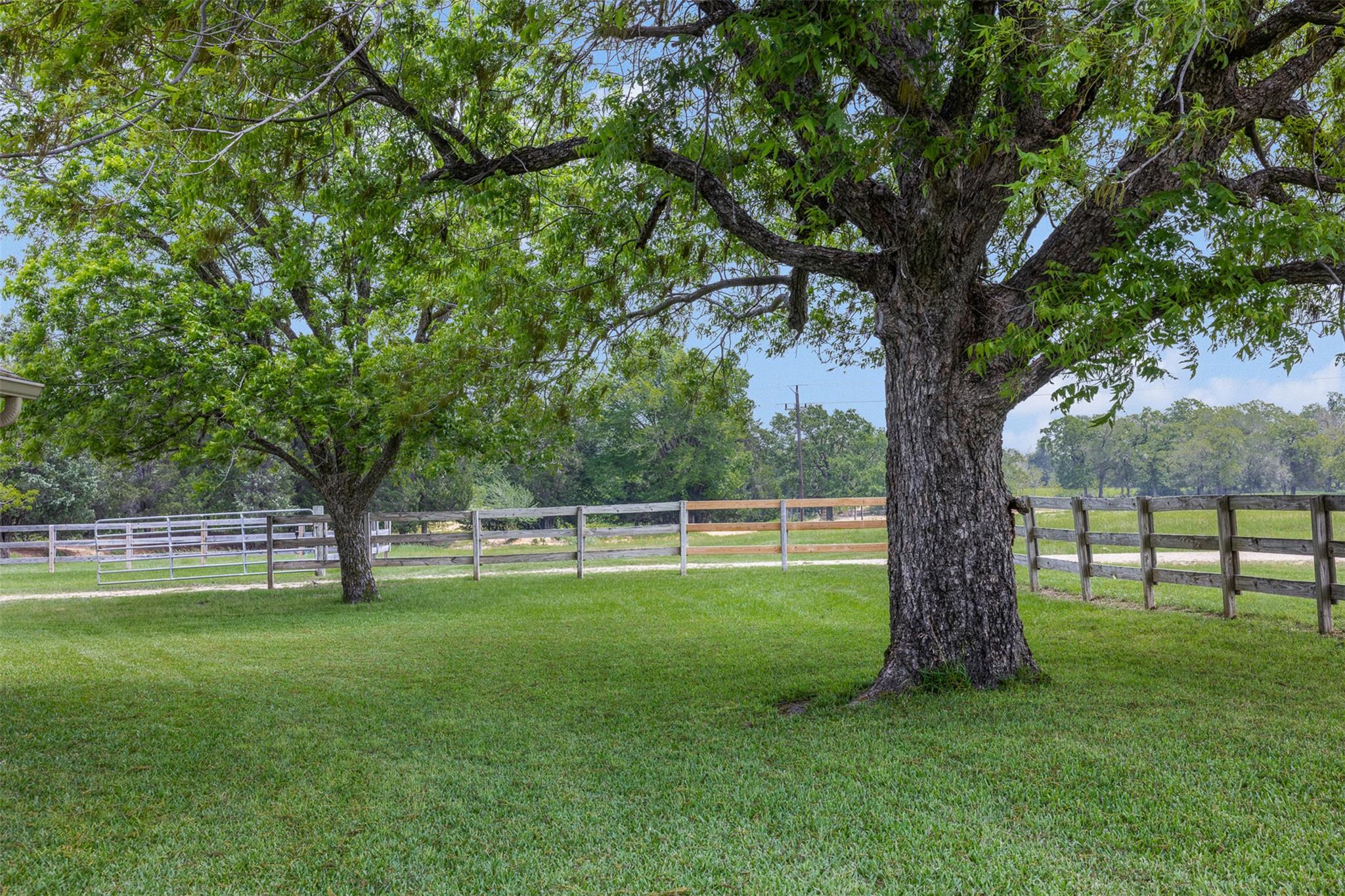 1016 County Road 306