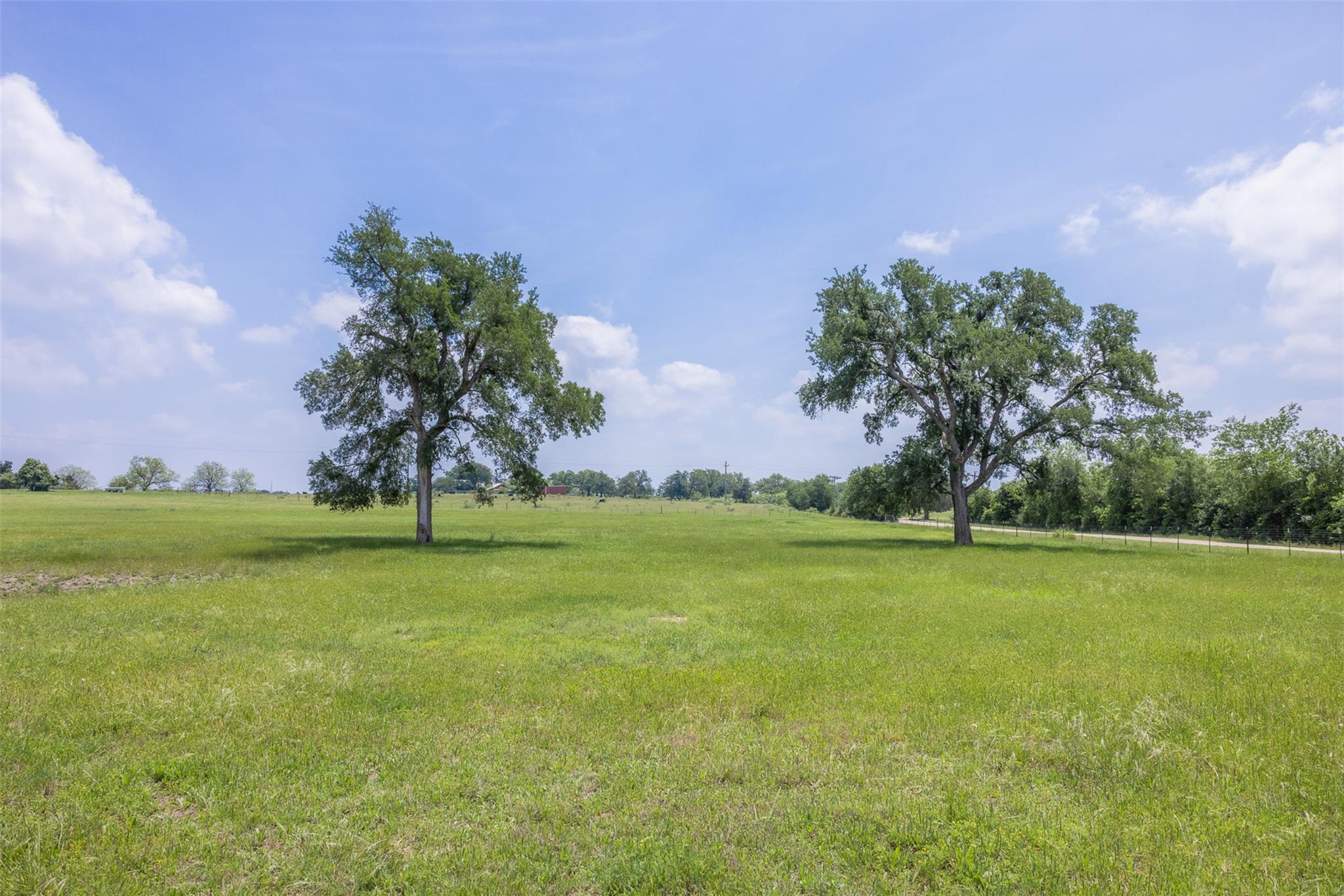 1016 County Road 306
