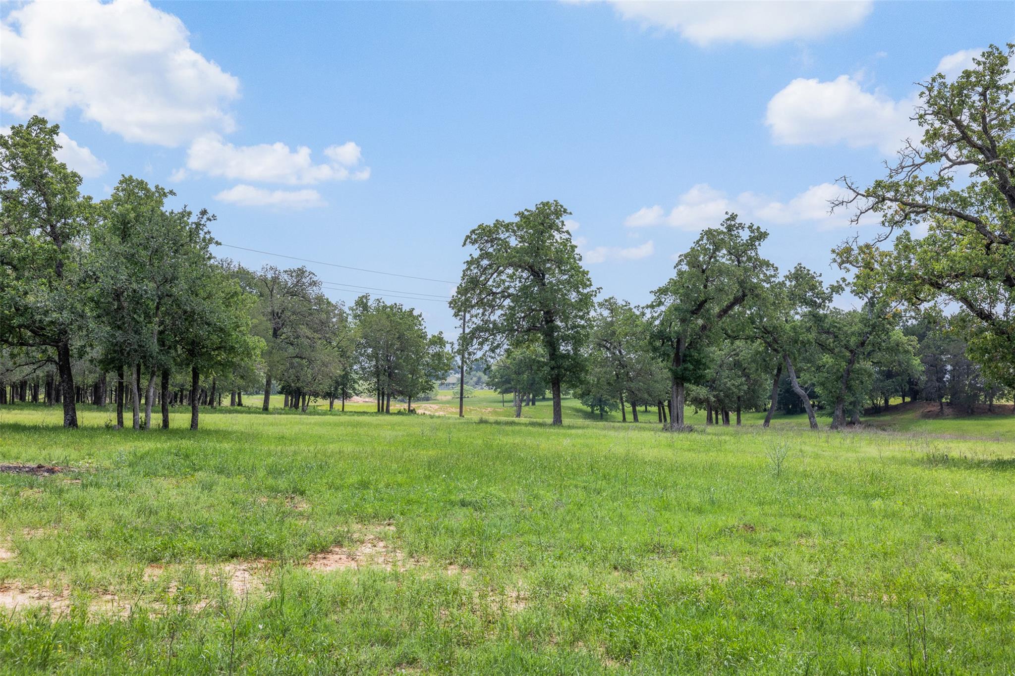 1016 County Road 306
