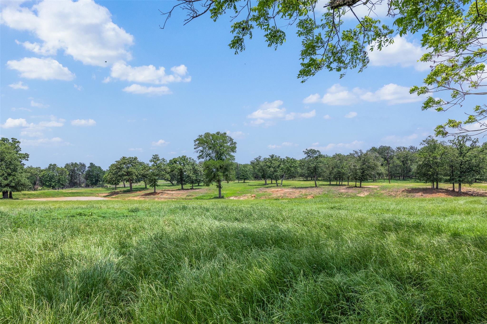 1016 County Road 306