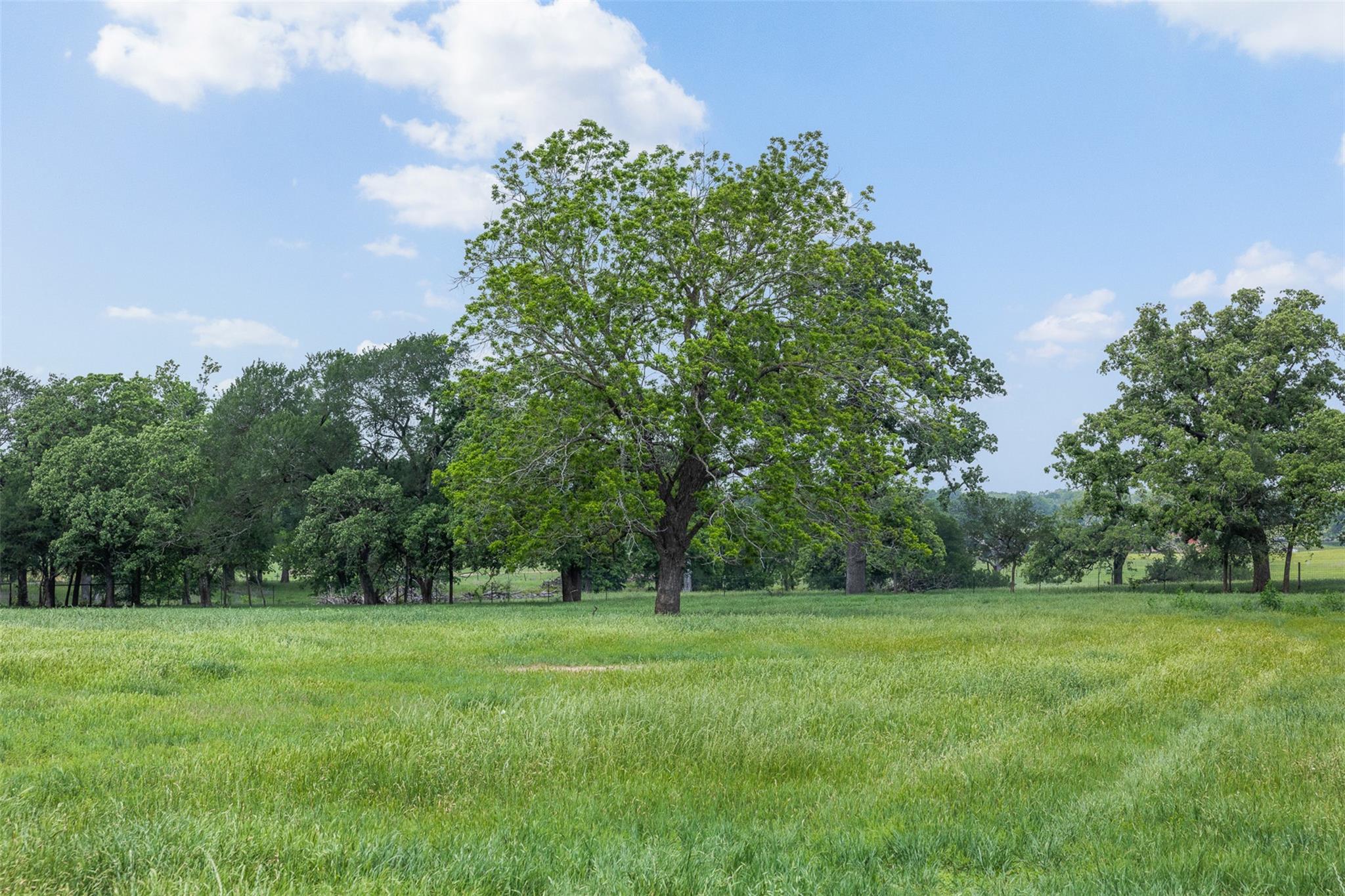 1016 County Road 306