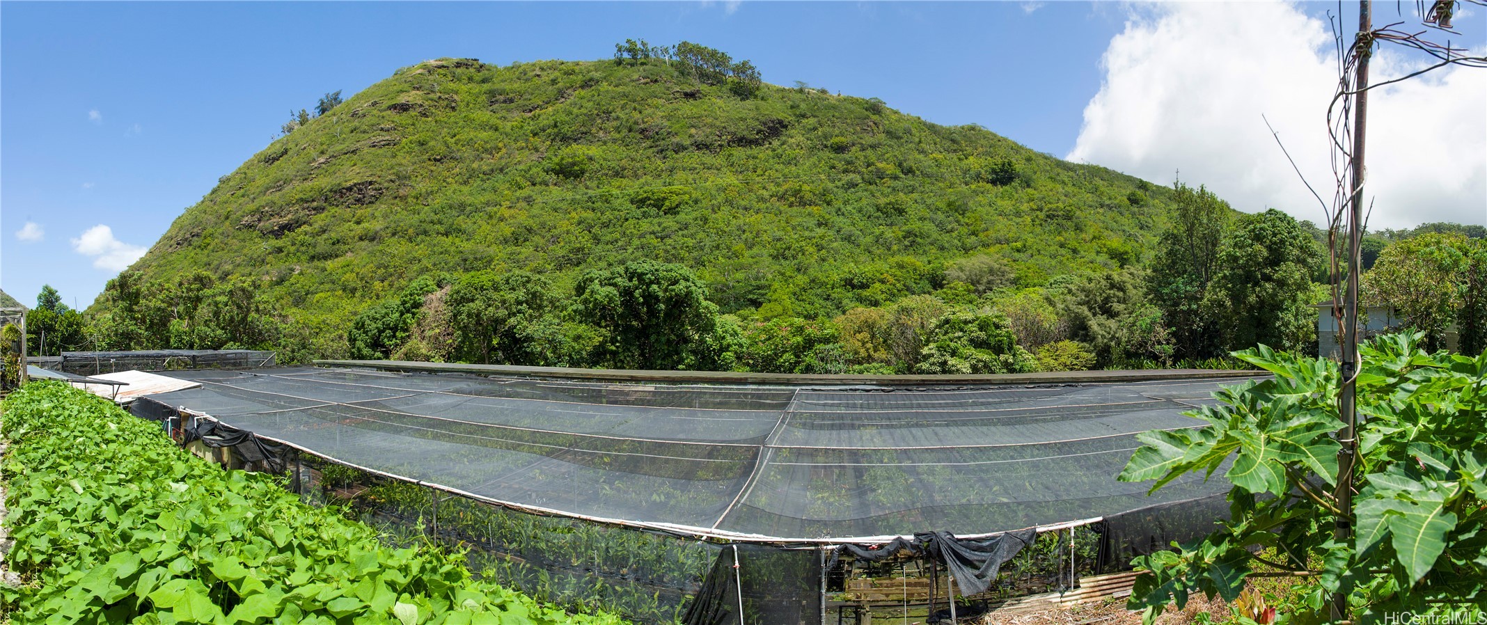 2630 Waiomao Road