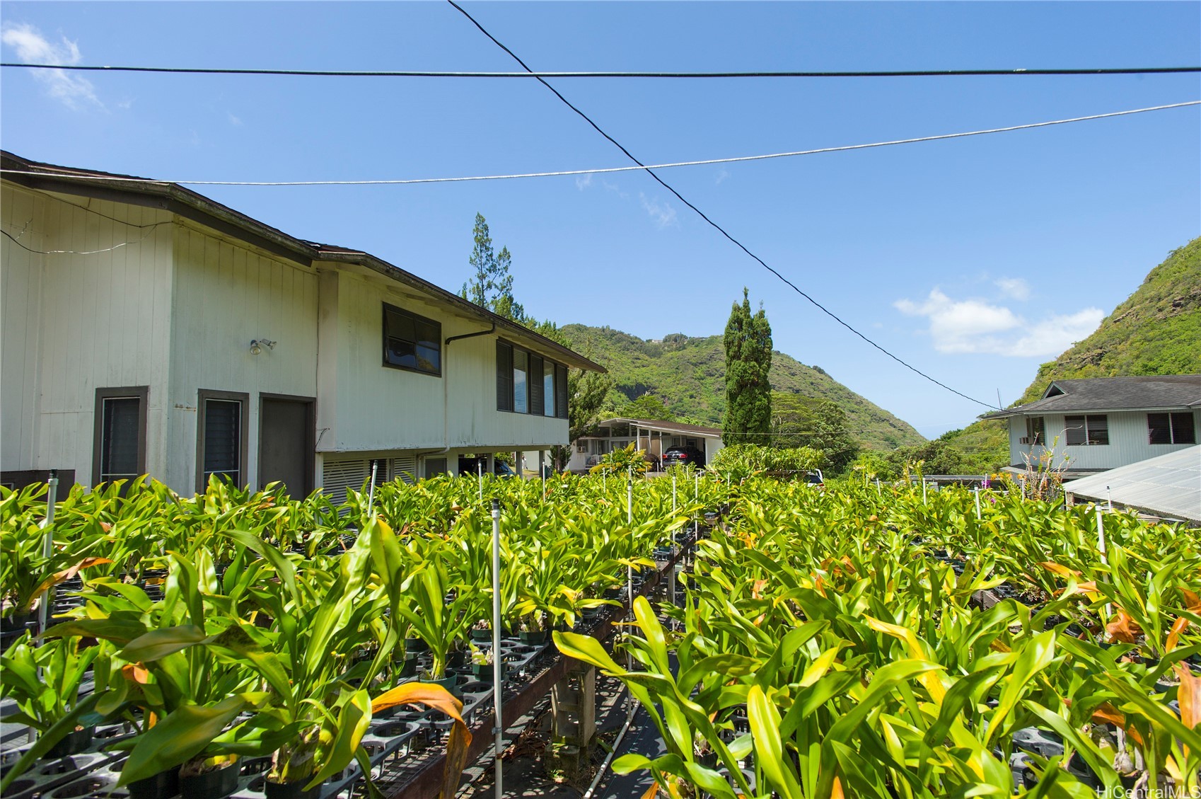 2630 Waiomao Road