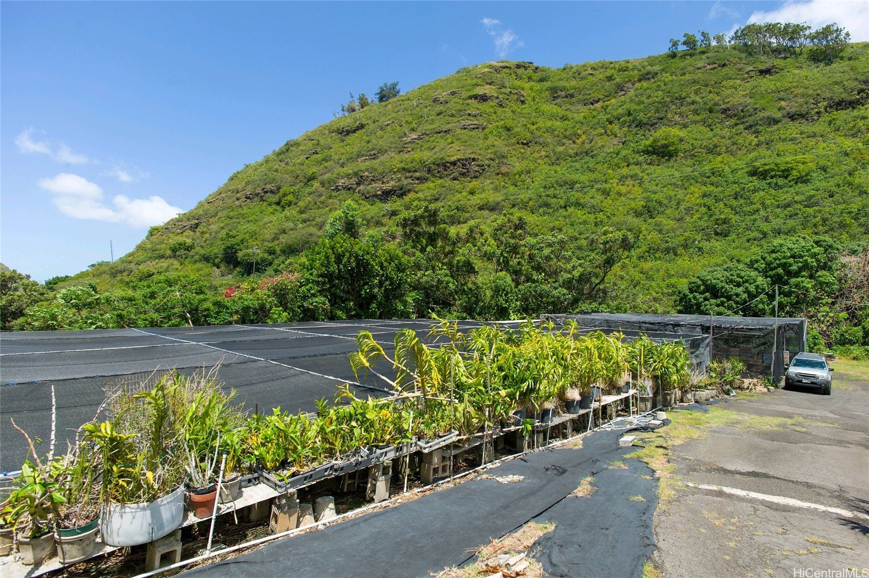 2630 Waiomao Road
