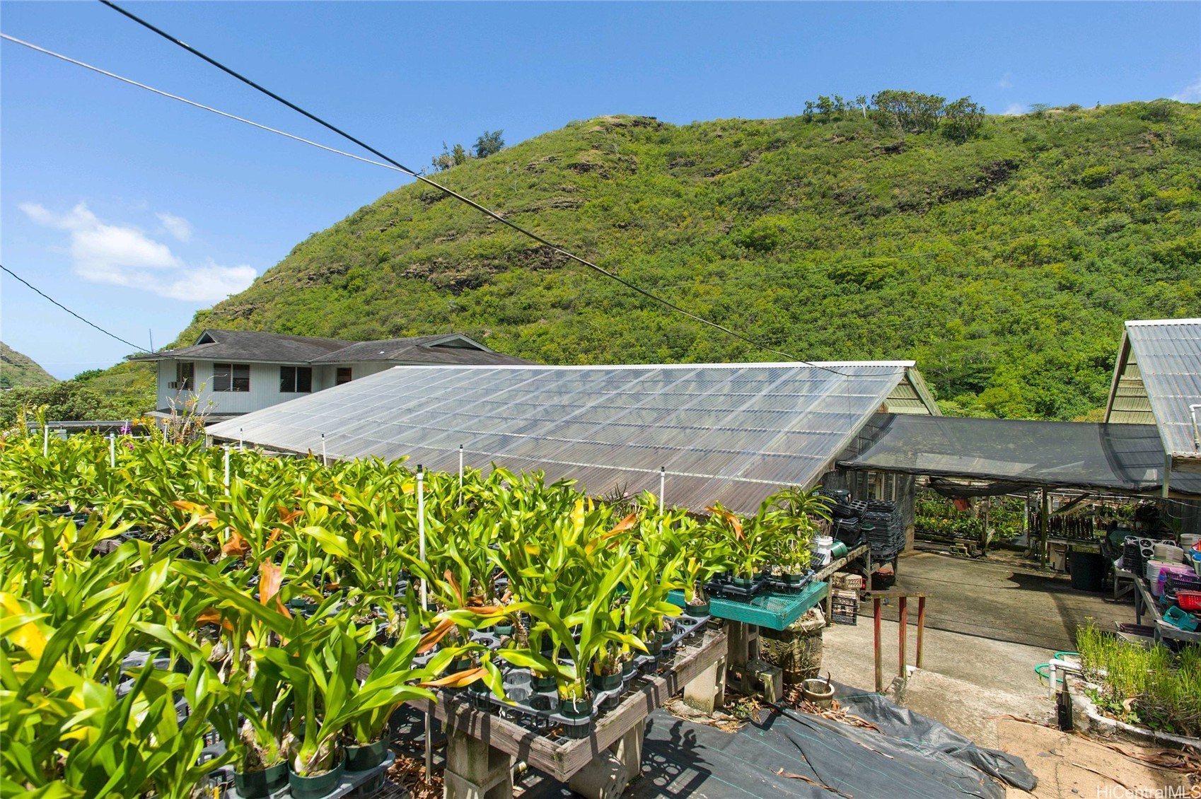 2630 Waiomao Road