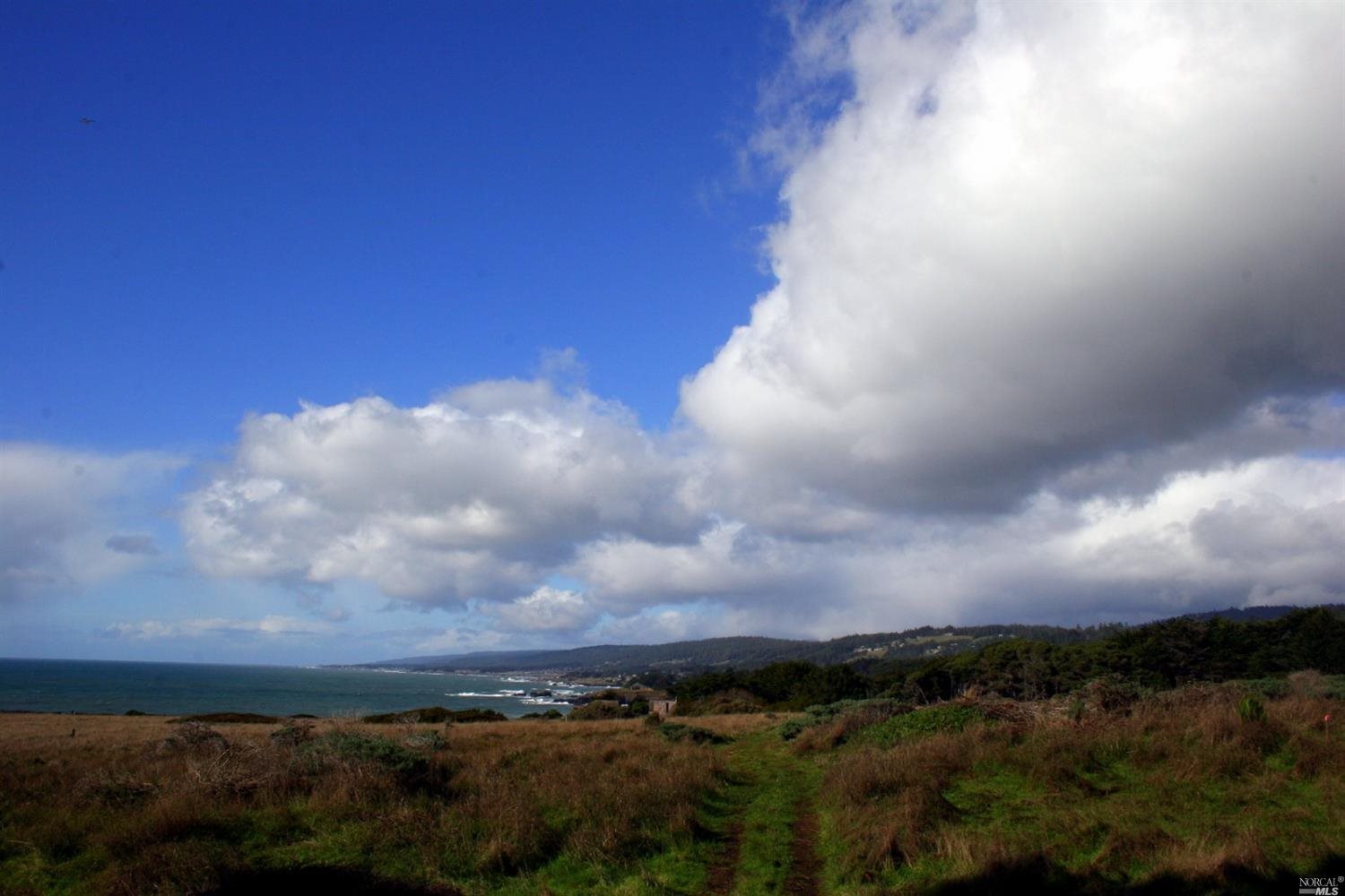 10092 Sorcerer Wood Rd