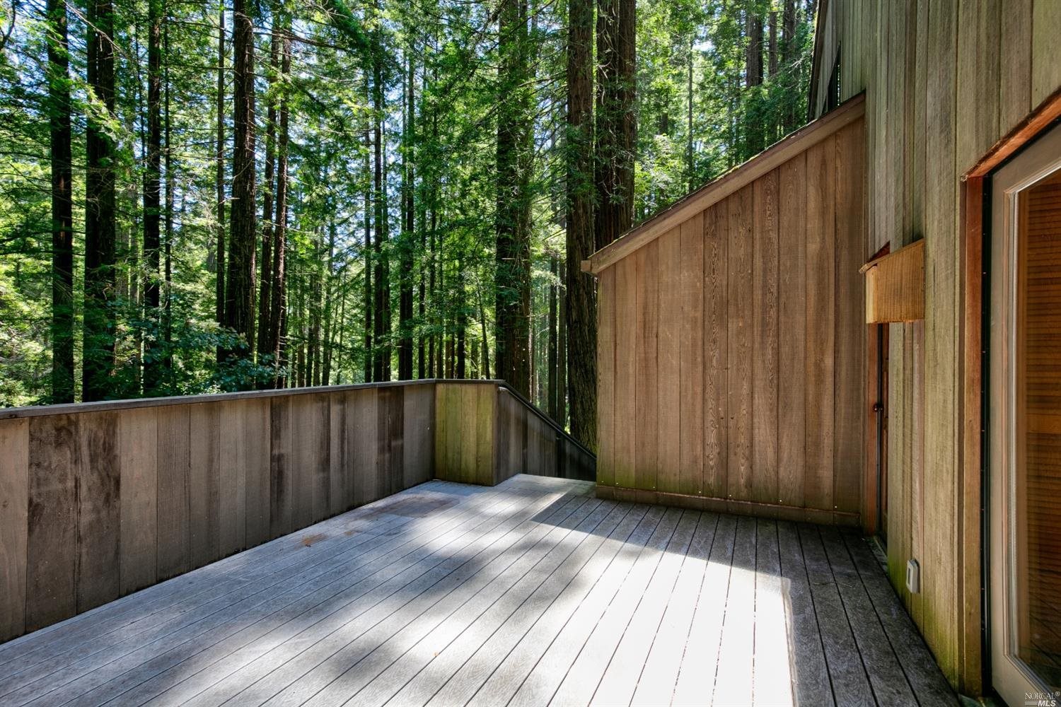 10092 Sorcerer Wood Rd