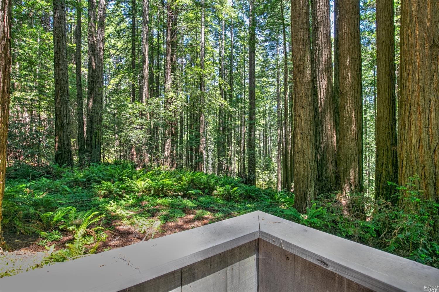 10092 Sorcerer Wood Rd