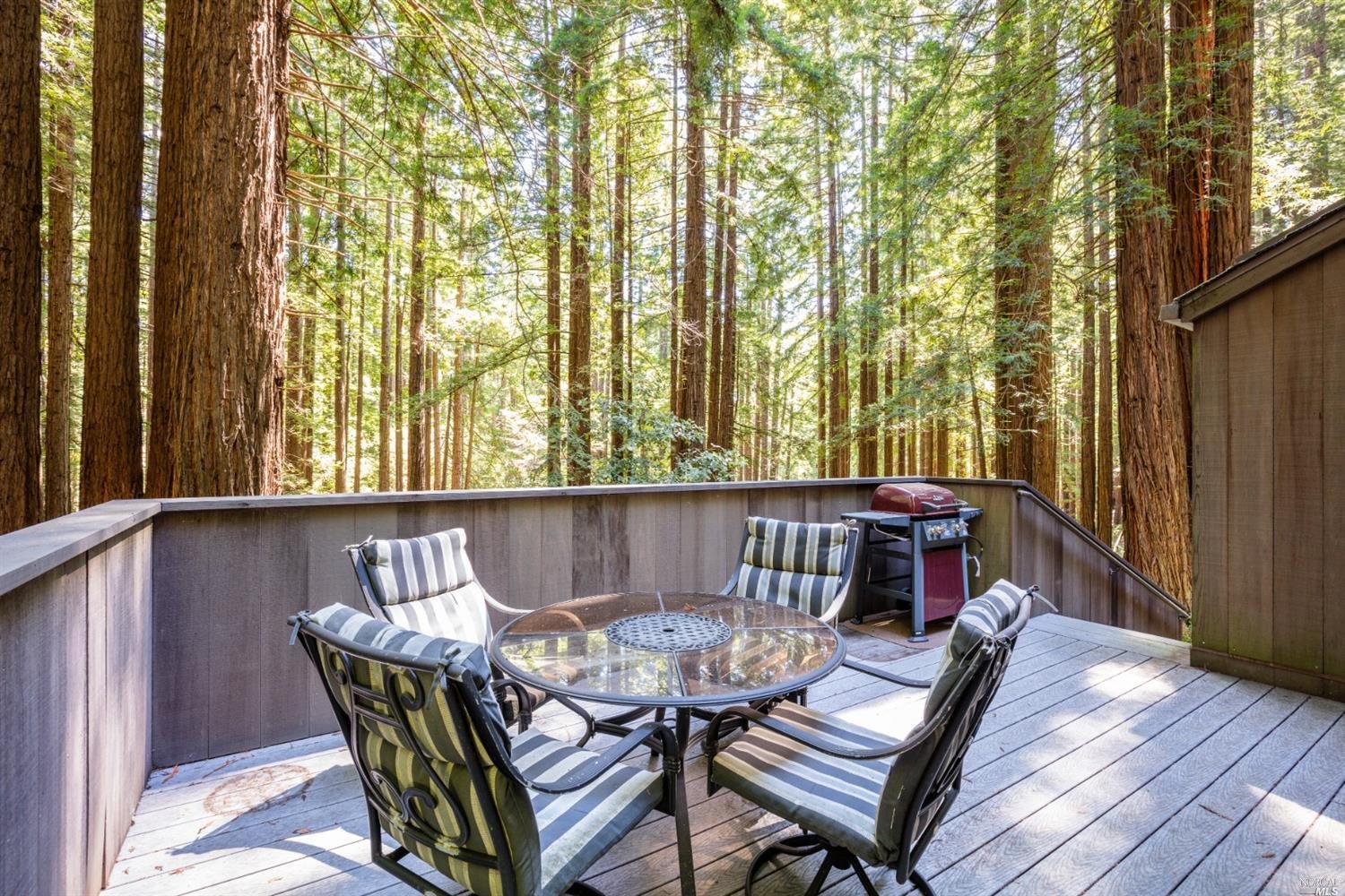 10092 Sorcerer Wood Rd