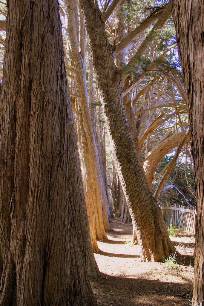 10092 Sorcerer Wood Rd