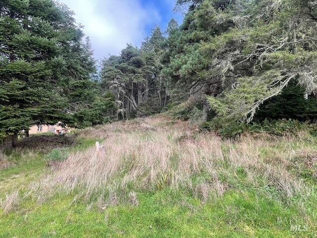 15251 Forest View Rd