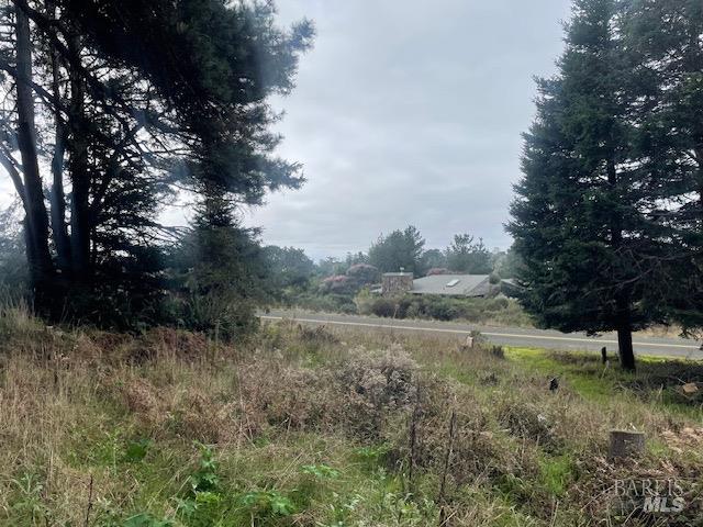 15251 Forest View Rd