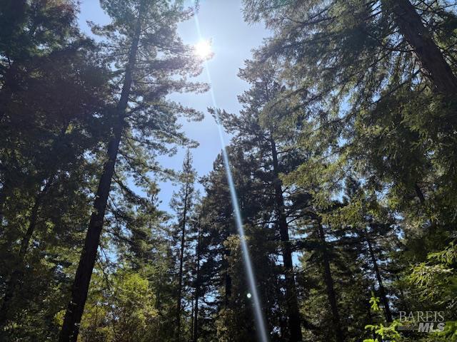 37931 Ocean Ridge Dr