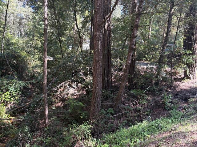 37931 Ocean Ridge Dr