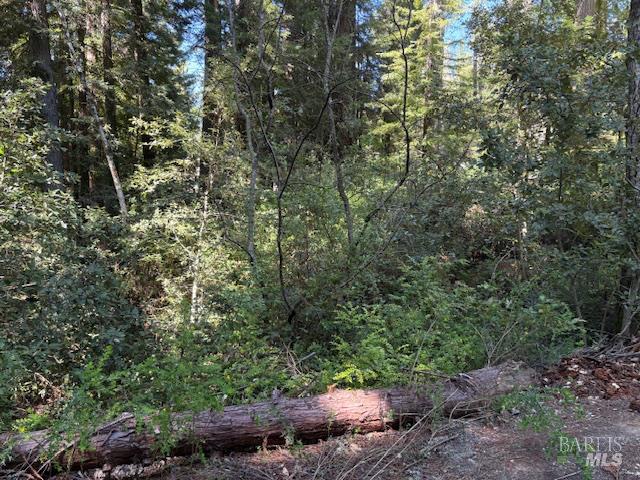 37931 Ocean Ridge Dr