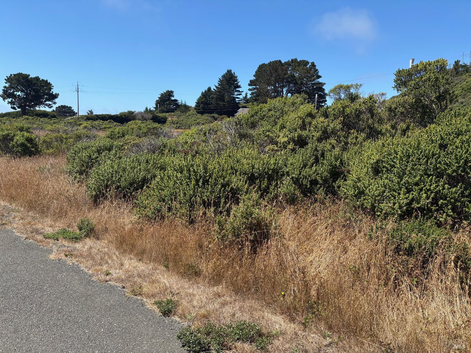 43601 Sea Cypress Dr