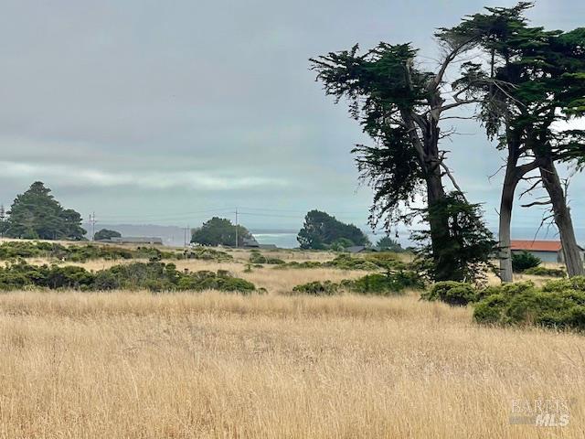 43601 Sea Cypress Dr