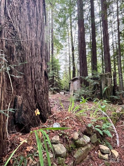 46251 Pacific Woods Road