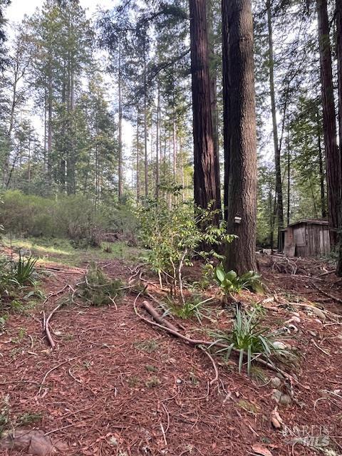 46251 Pacific Woods Road