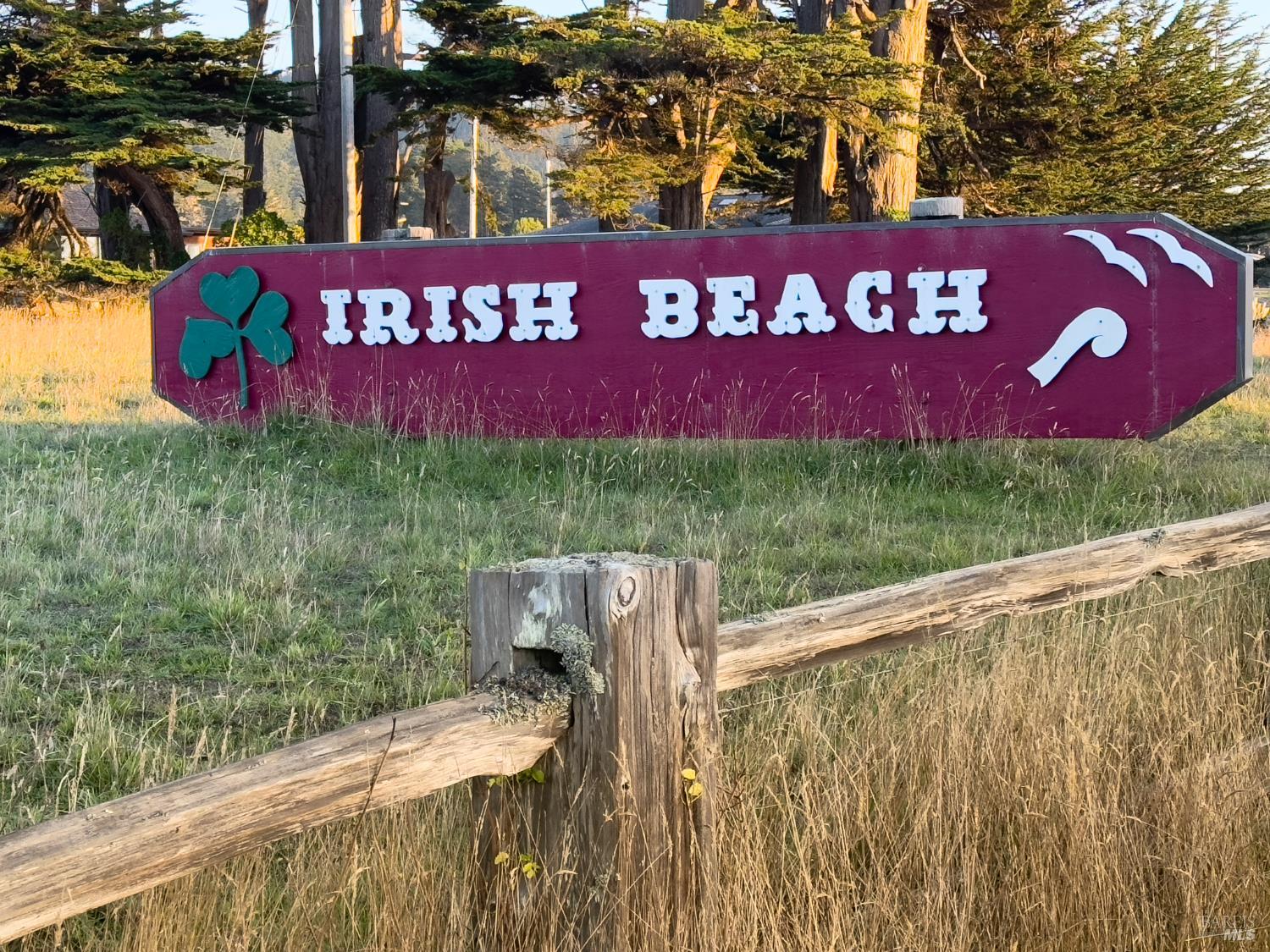 15691 Forest View Road